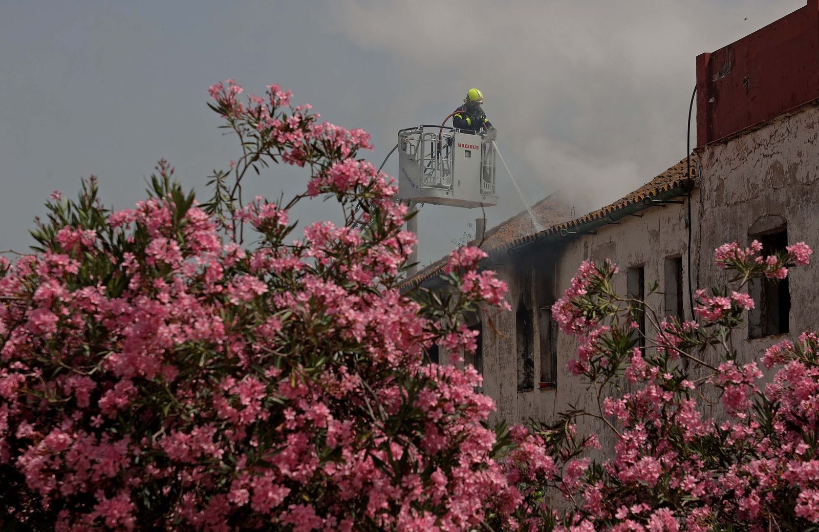 INCENDIO EDIFICIO OKUPA GESTO POR LA PAZ ERASMO (388)