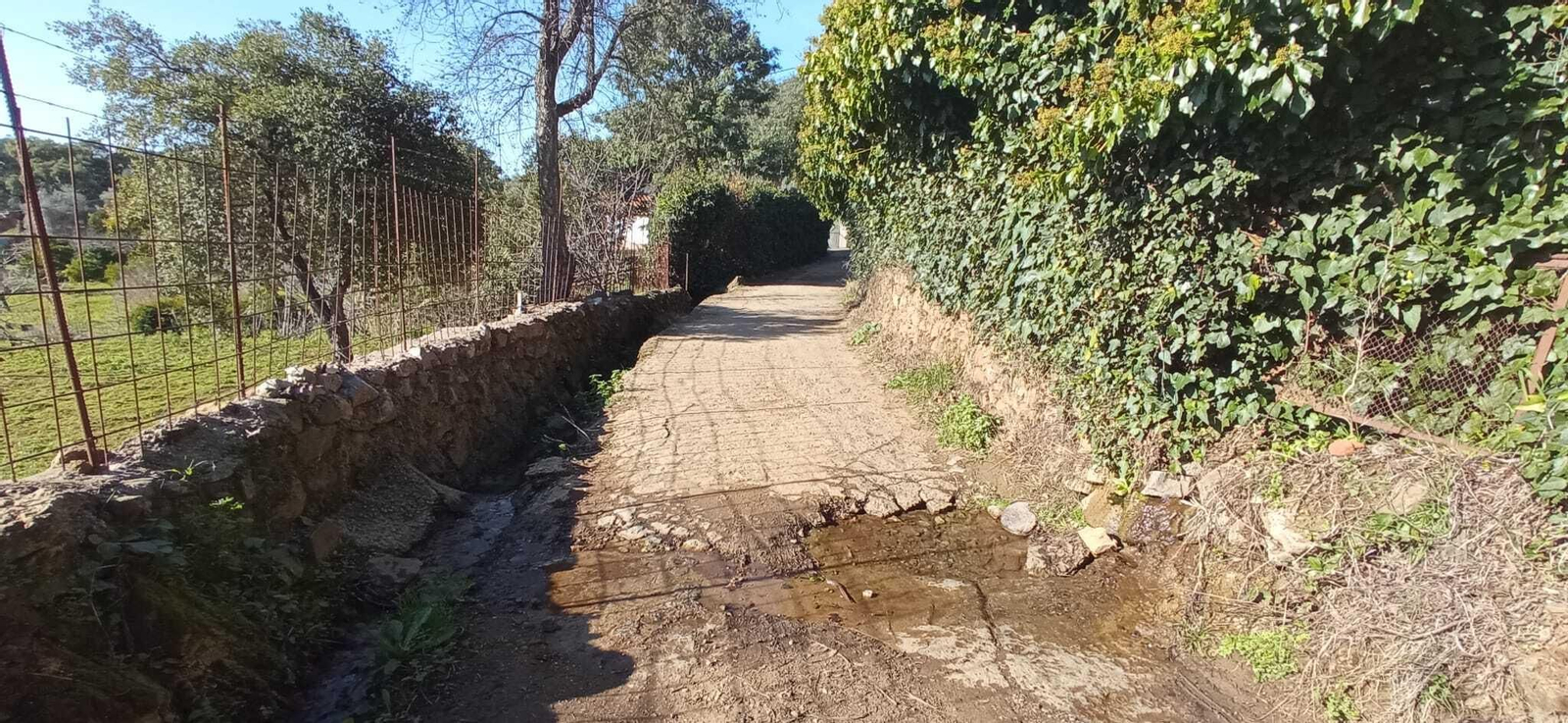 Fotos de la Ruta circular Aracena-Linares de la Sierra-Aracena