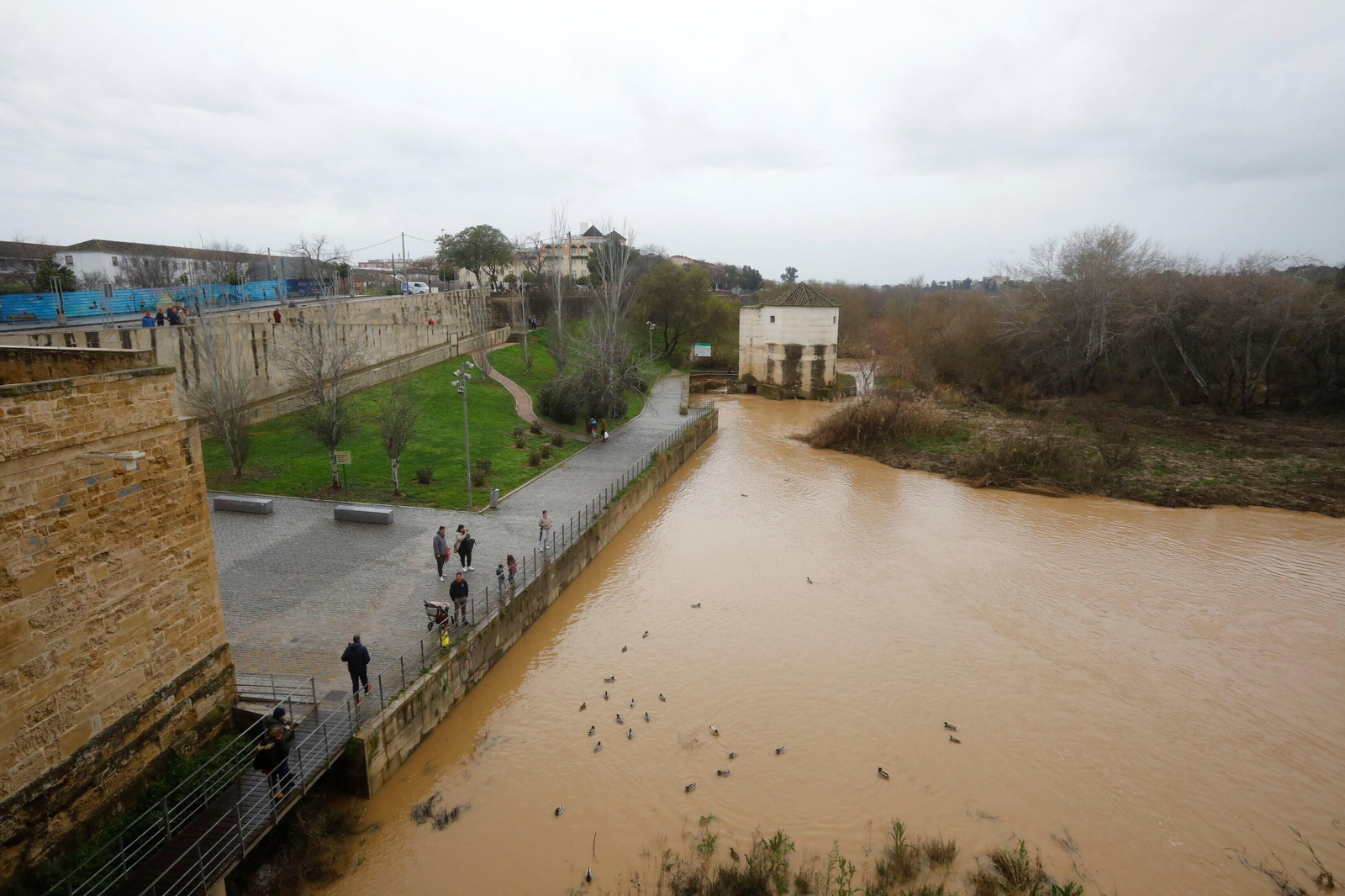 La crecida del río Guadalquivir en Córdoba tras las lluvias caídas por la borrasca Karlotta, en imágenes