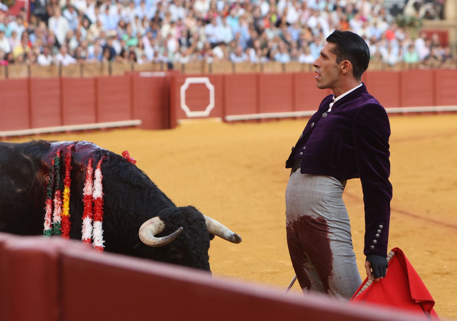 Fotos del Festival taurino a beneficio de l de la Hermandad del Rocío de Triana y de la Fundación Alalá