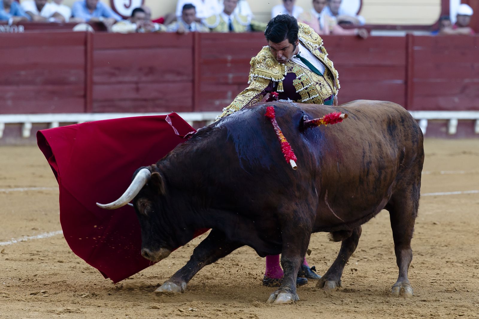 Morante de la Puebla, Talavante y Pablo Aguado en la plaza de toros de El Puerto