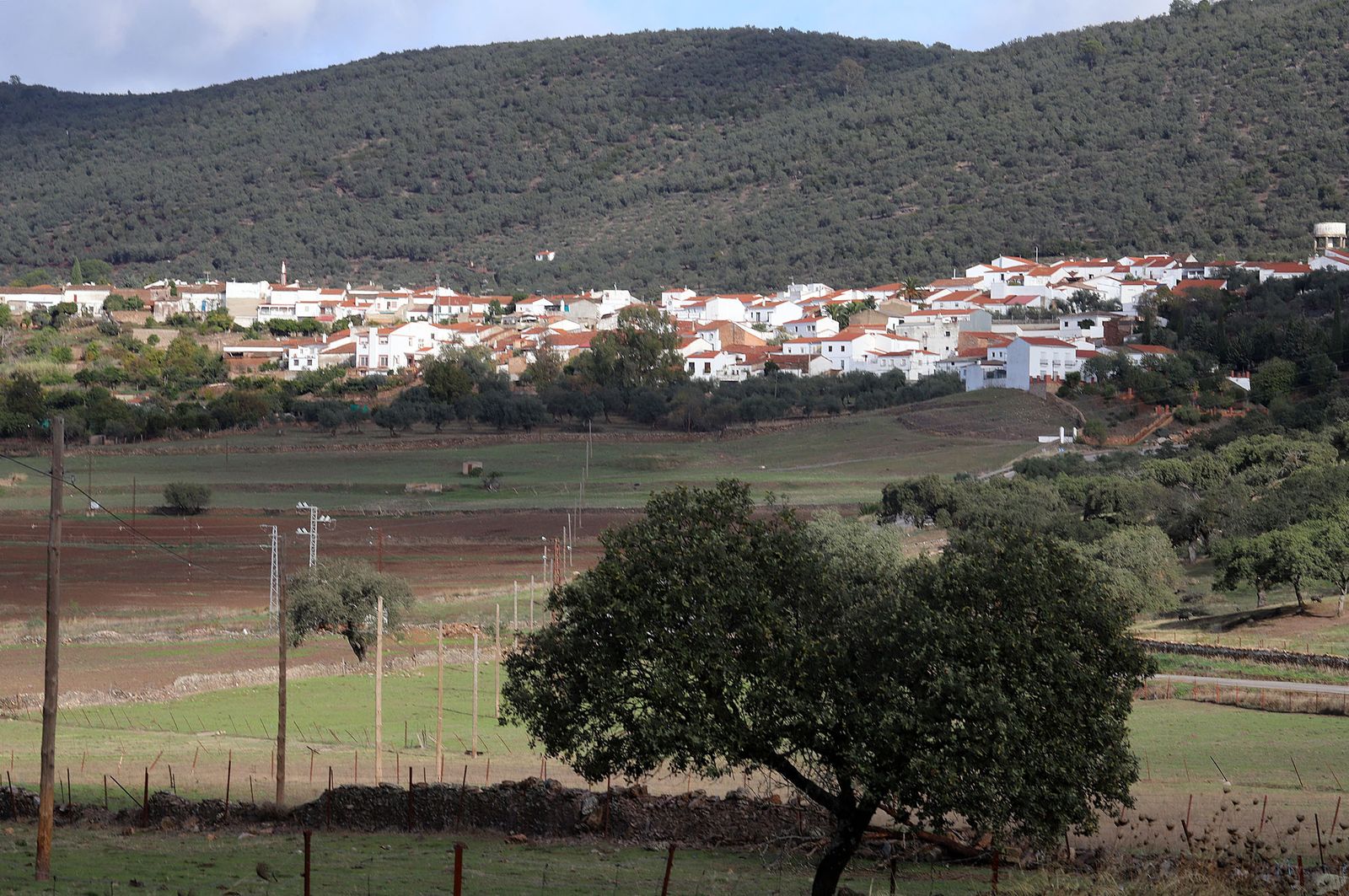 Vista de Cañaveral de León.