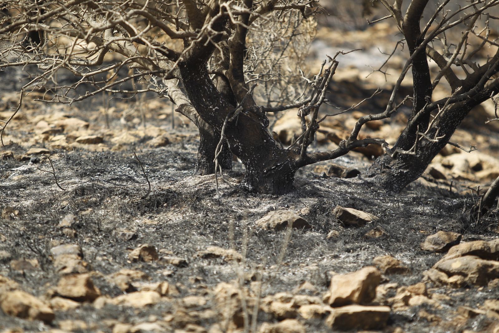 Fotogalería incendio extinguido Sierra de Gádor