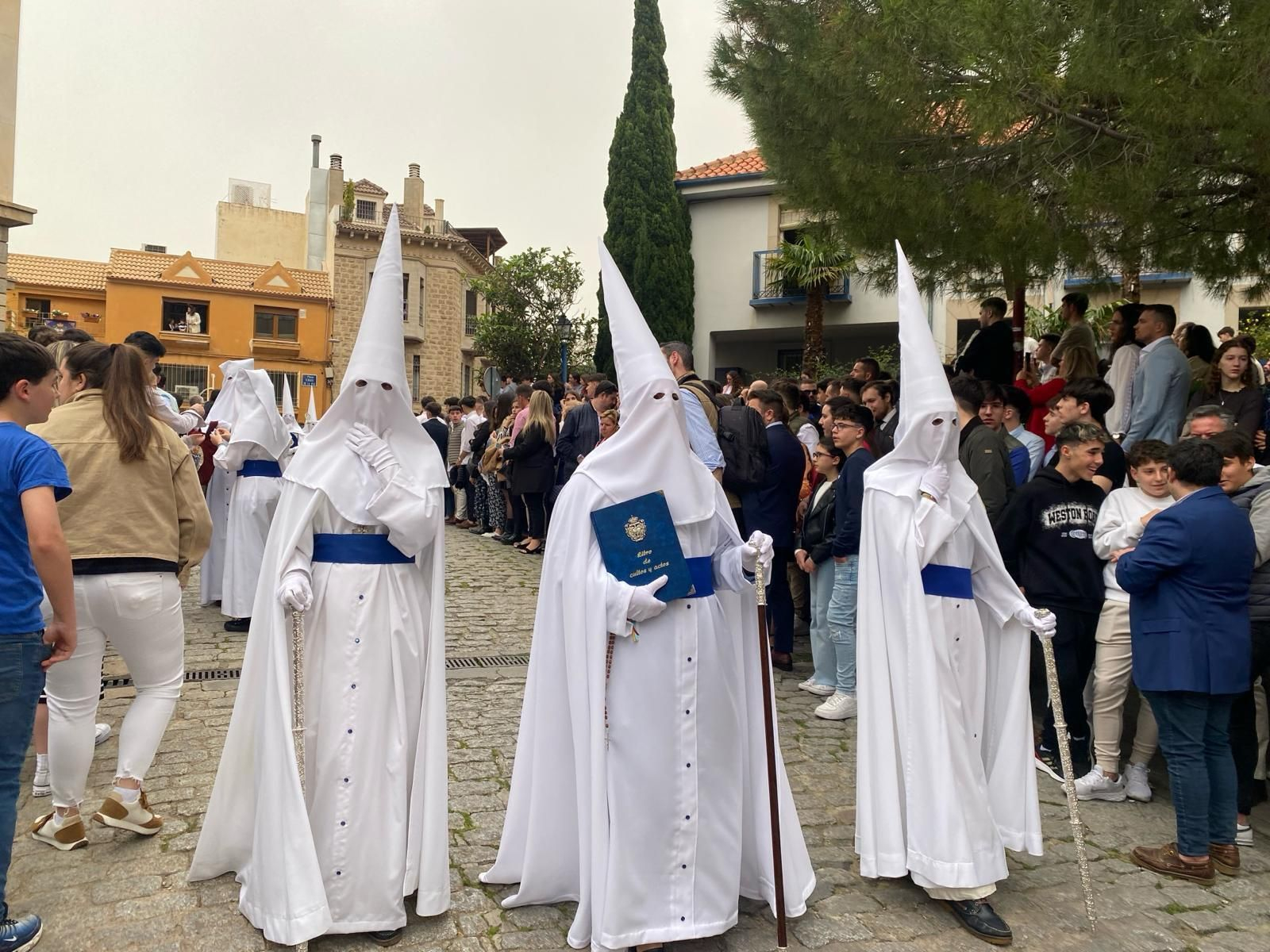 La Borriquilla el Domingo de Ramos en Jaén.