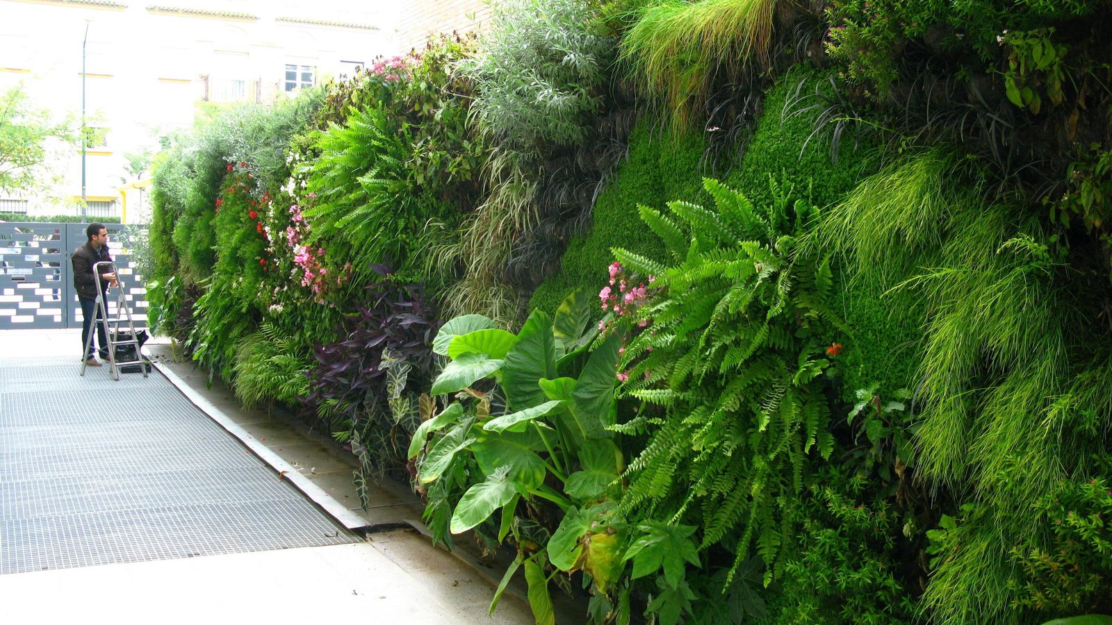 Jardín vertical del Hospital Sagrado Corazón.