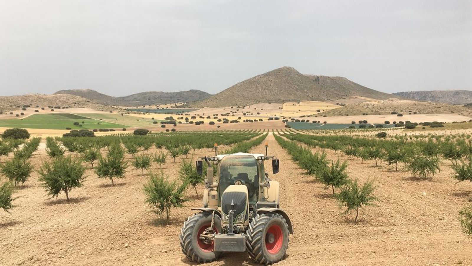 Tractor en un campo de cultivo