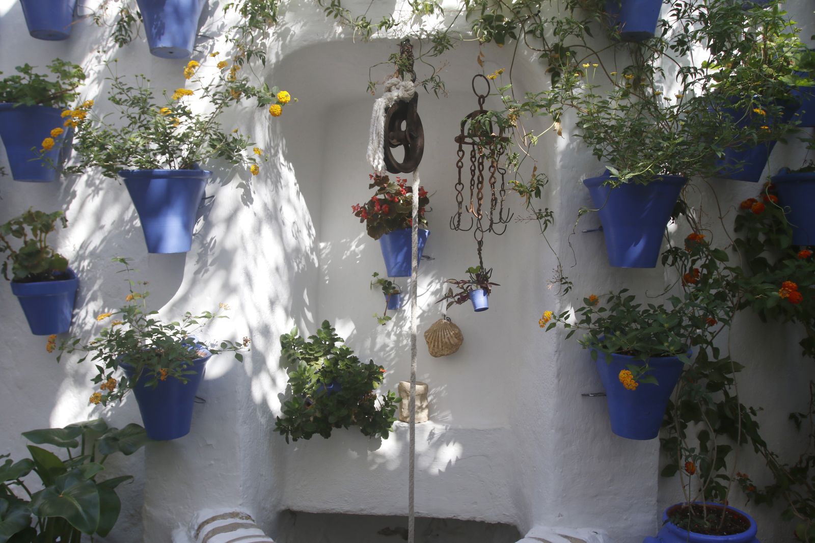 Las fotografías de los Patios de Córdoba en otoño