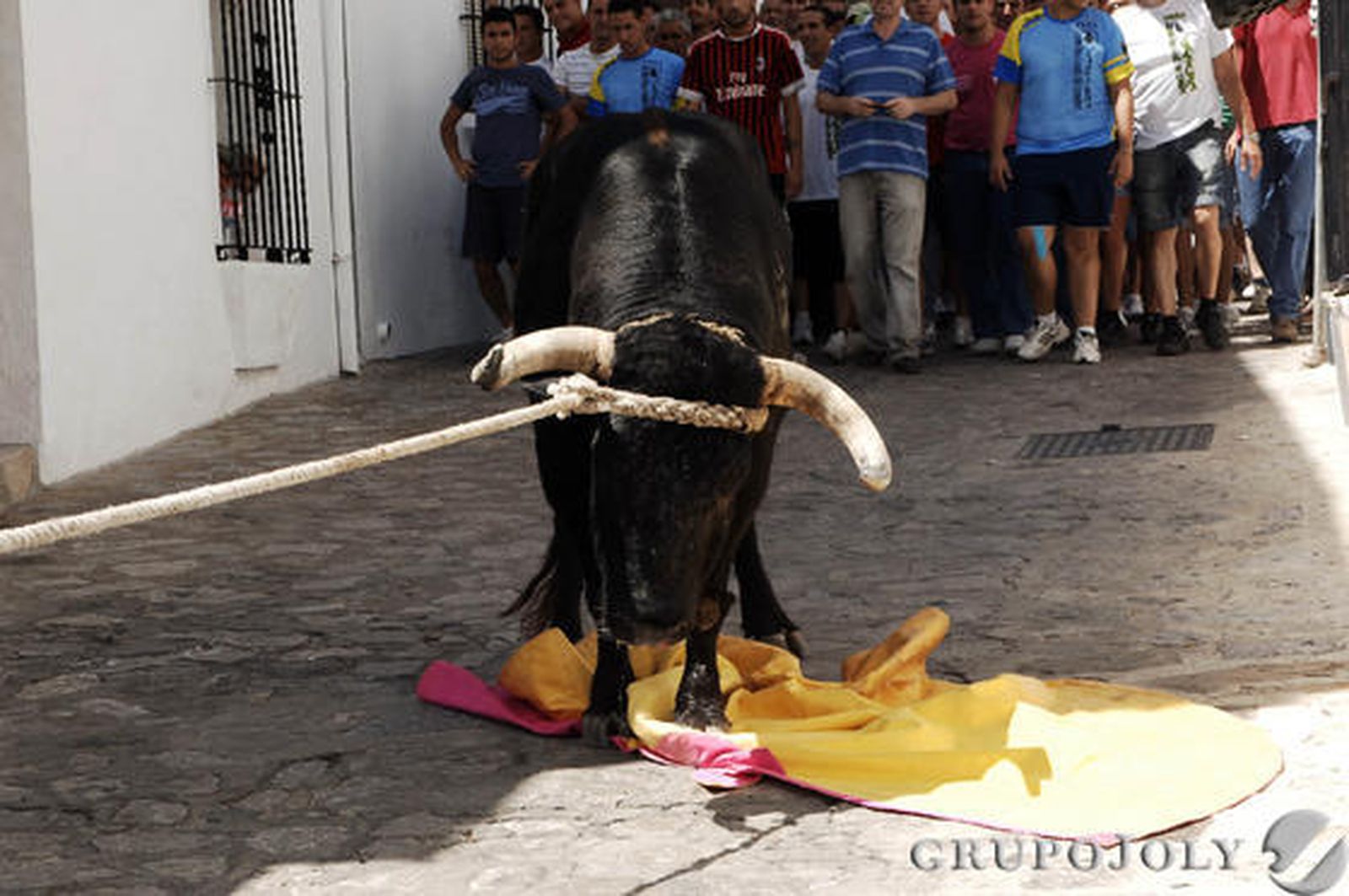 Imágenes del Toro de Cuerda