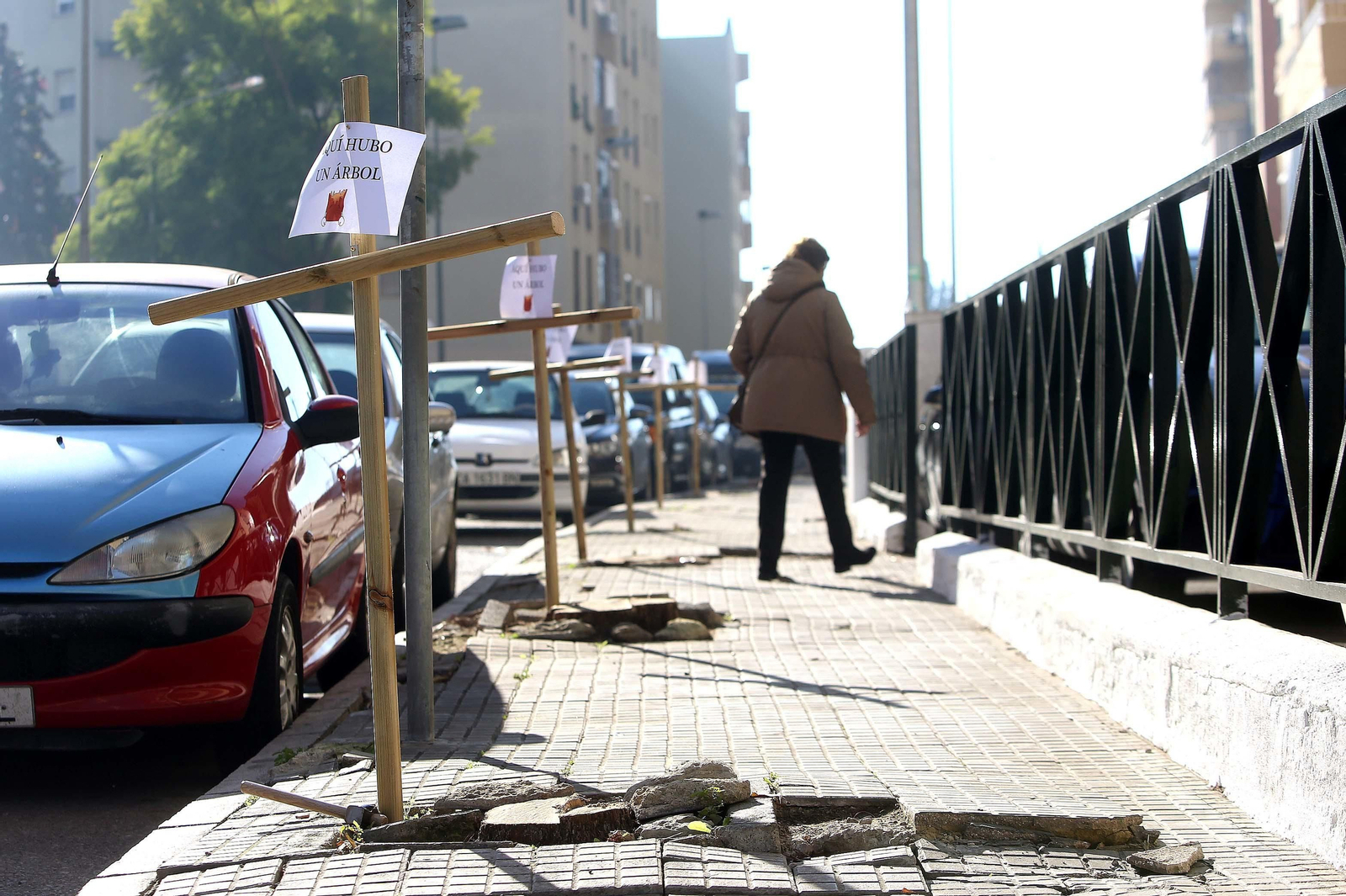 Cruces instaladas esta mañana en los alcorques sin árboles de República Saharaui.