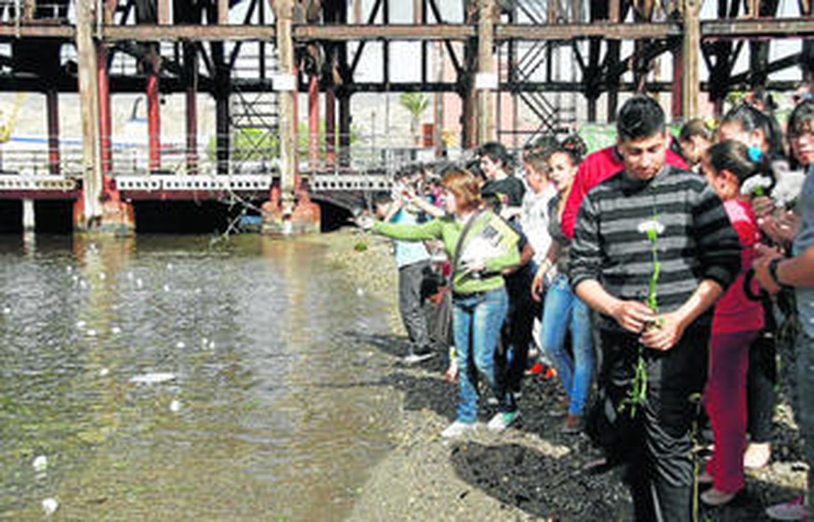 Flores blancas para honrar a las víctimas gitanas del Holocausto