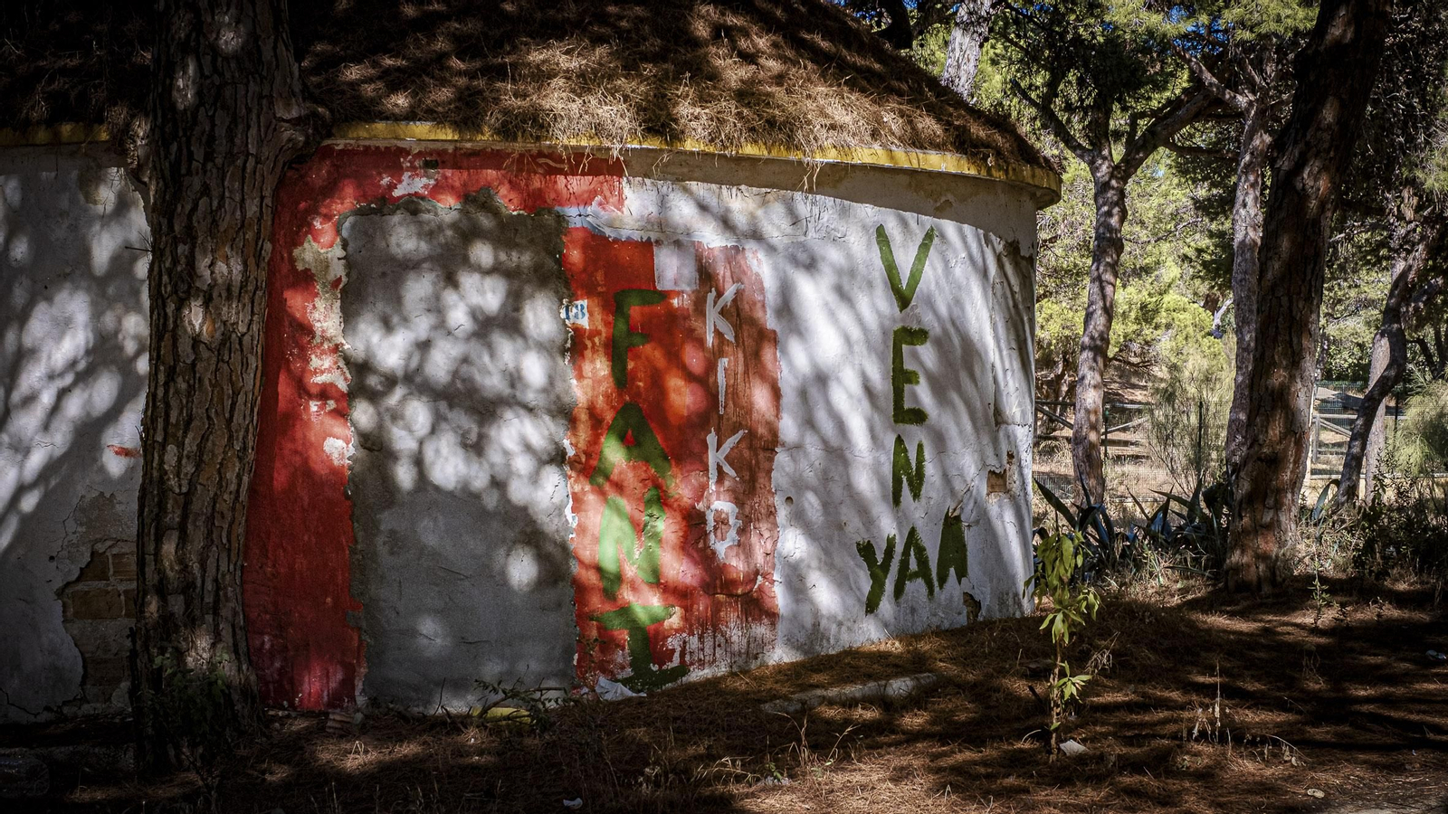 Las imágenes actuales del estado de abandono del antiguo campamento La Forestal en Rota
