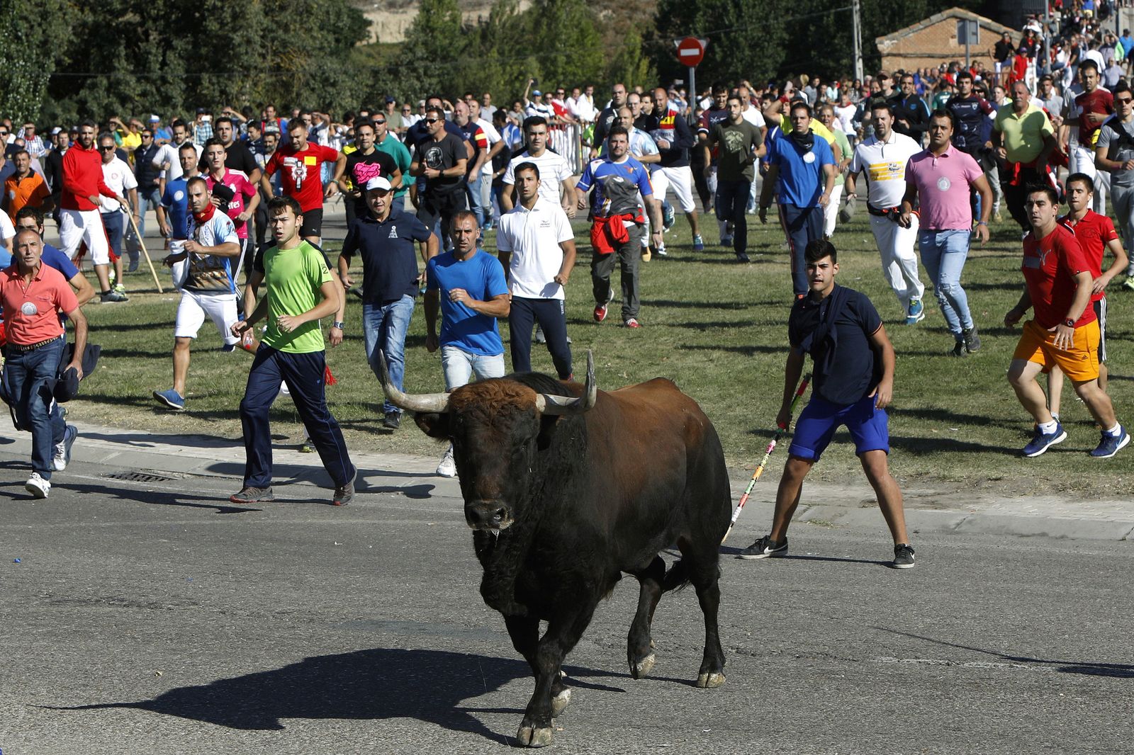 Un momento del festejo de Tordesillas.
