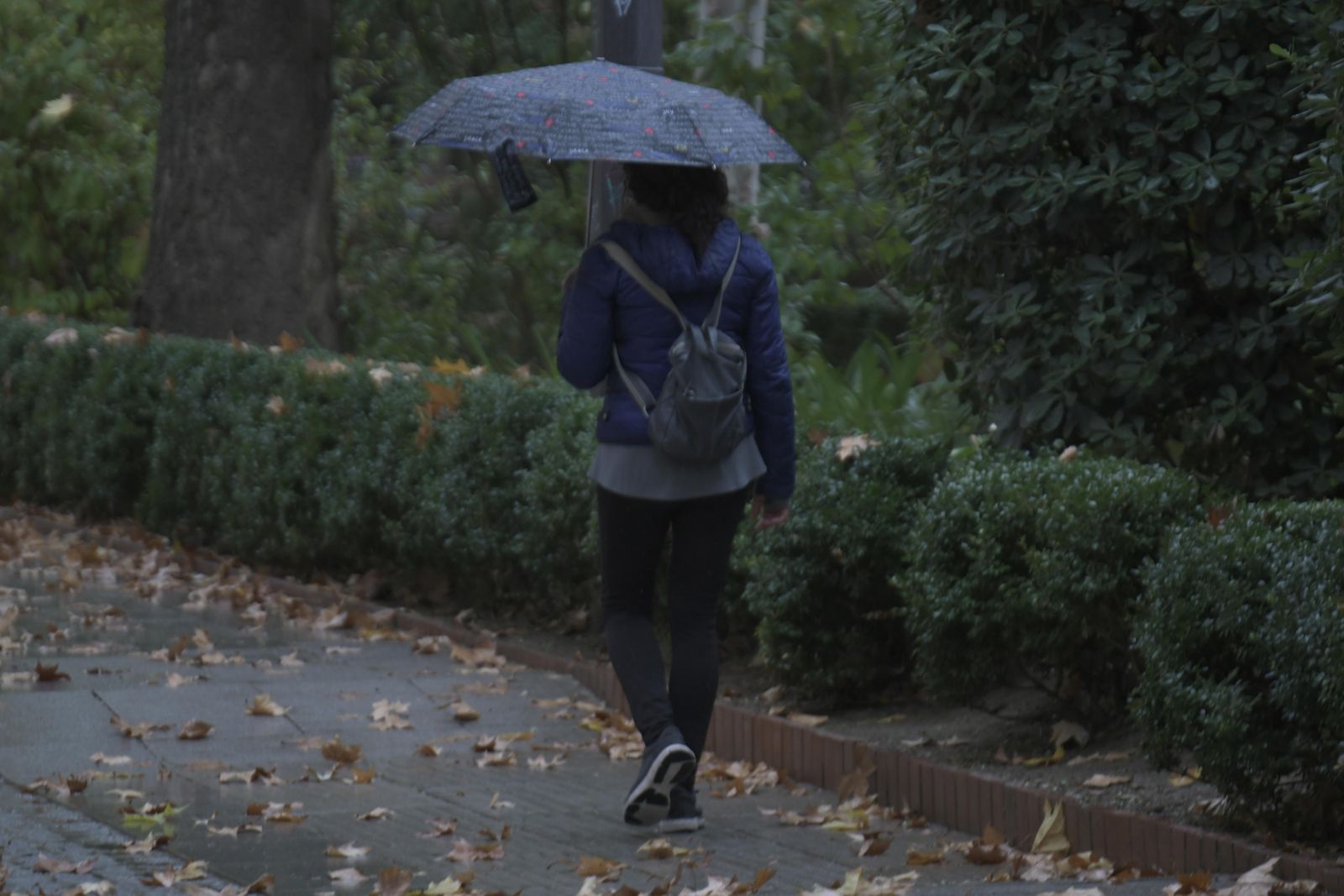 Fotos: día de lluvia en Granada