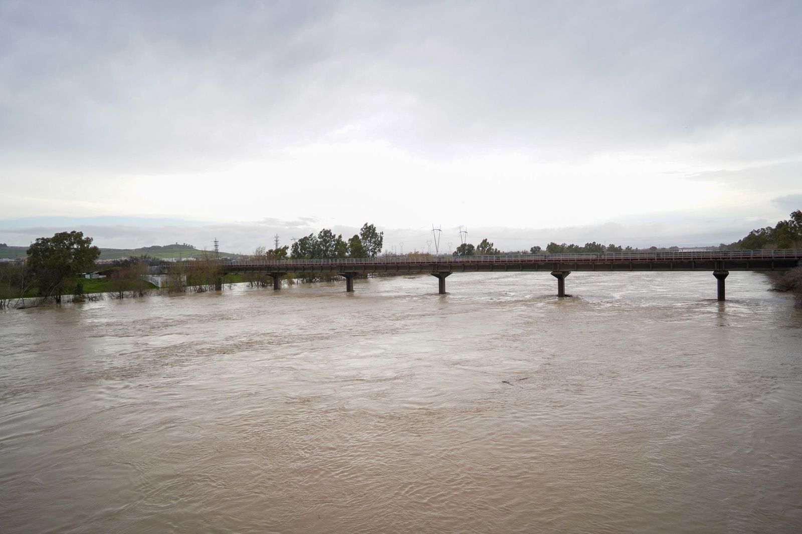 WhatsApp Image 2026-02-07 at 16.49.36 (4)