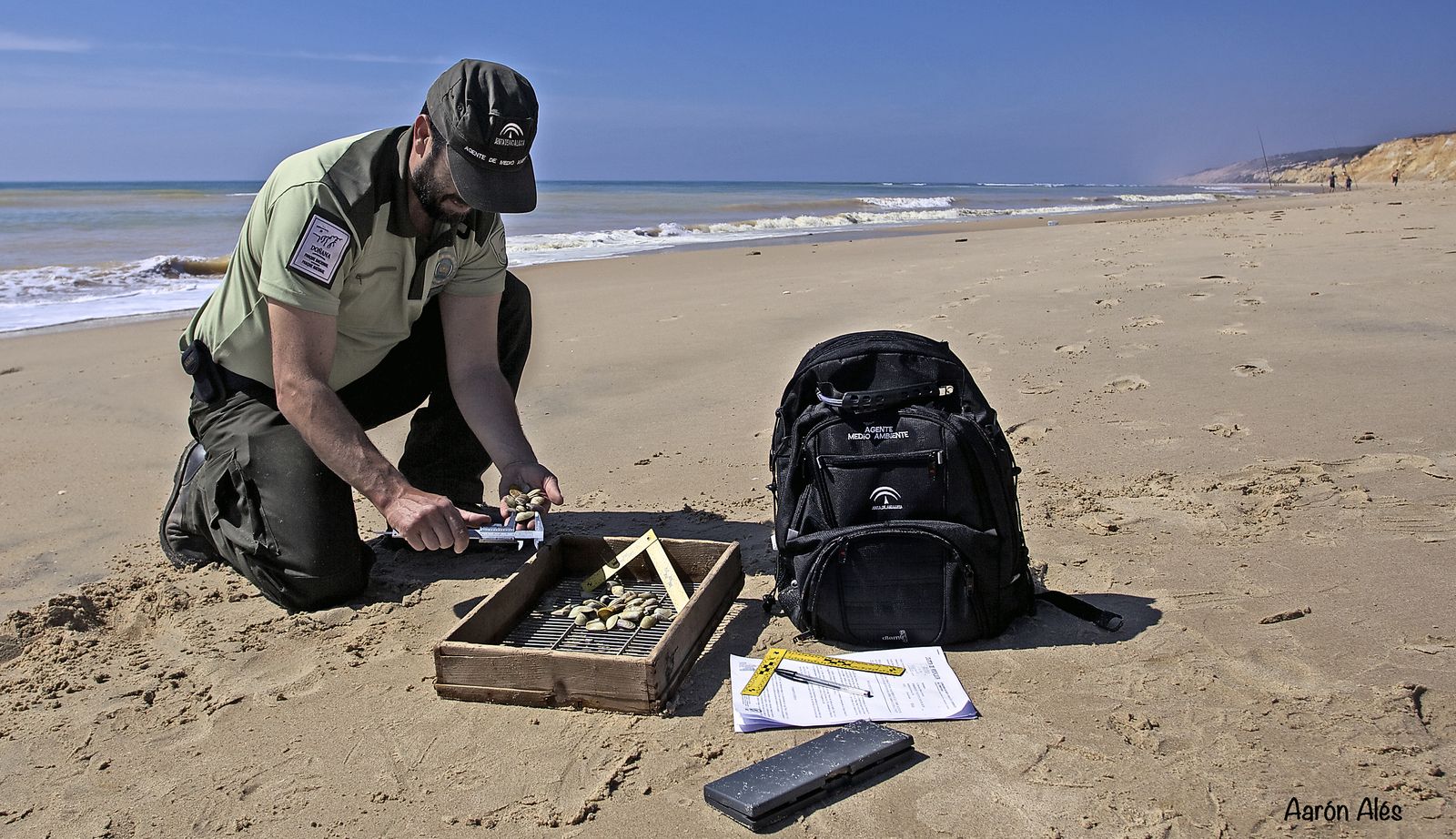 Un agente durante un control del marisqueo ilegal.