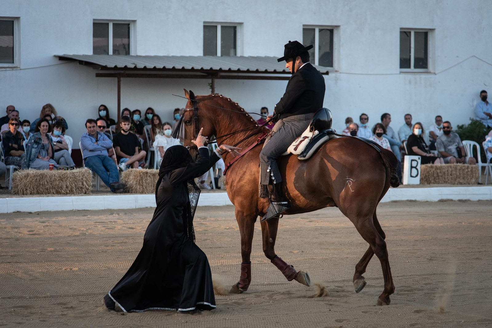 El espectáculo Flamencab en imágenes