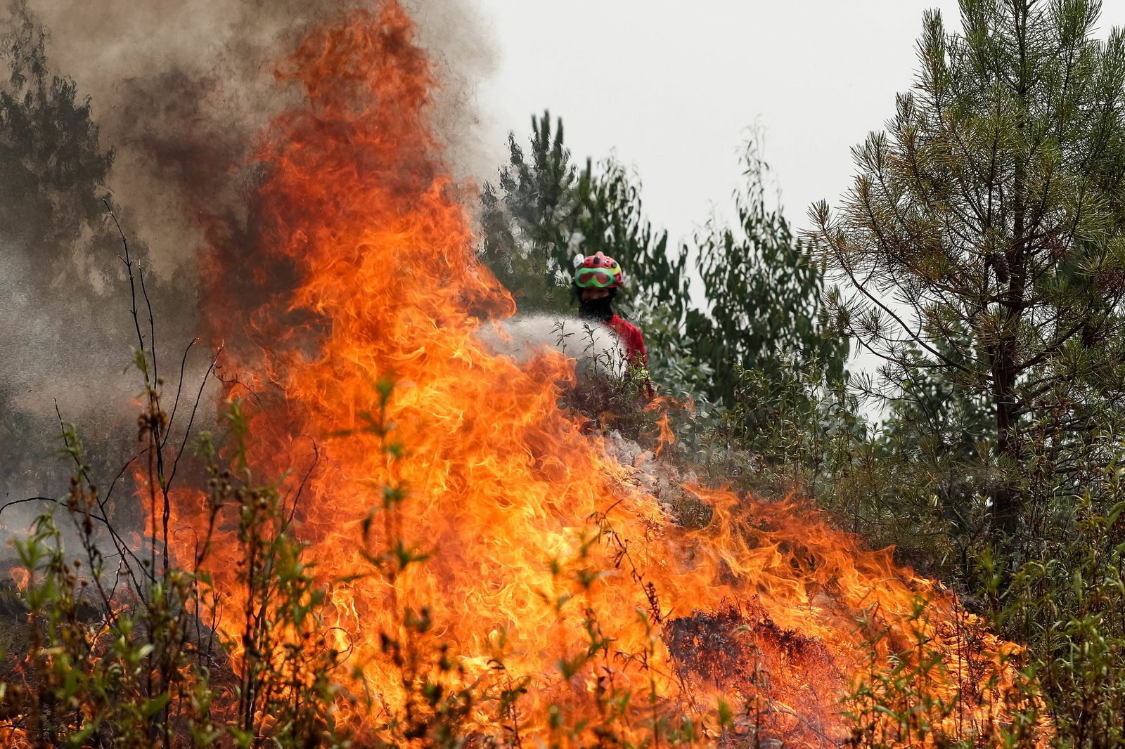 La extinción del incendio del centro de Portugal, en imágenes