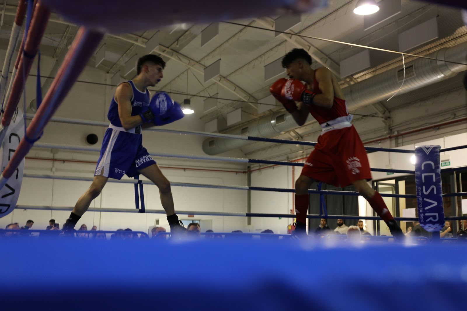 Imagen de uno de los combates