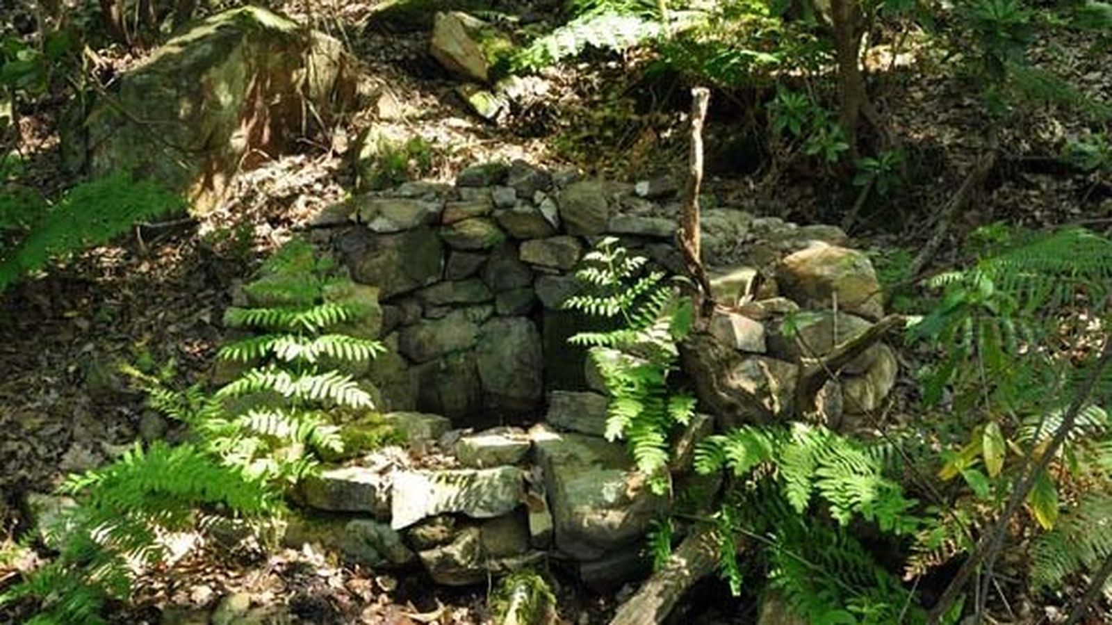 Pocito-manantial del Canuto del Prior.