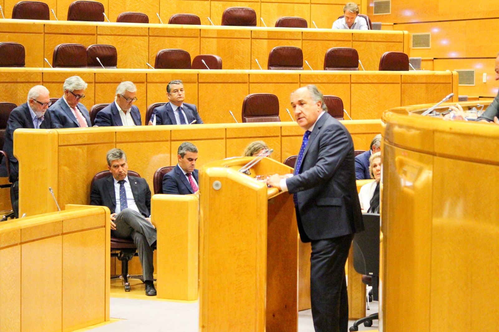 José Ignacio Landaluce en la tribuna del Senado.