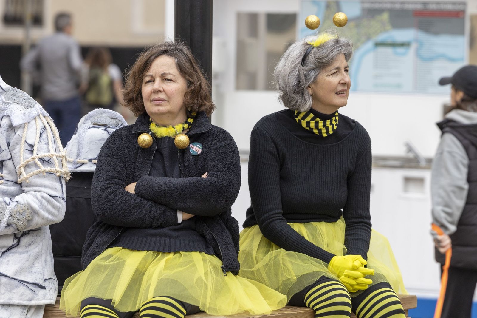 Las imágenes del acto de descubrimiento de la estrella dedicada a Julio Pardo en el Paseo de la Fama del Carnaval de Cádiz