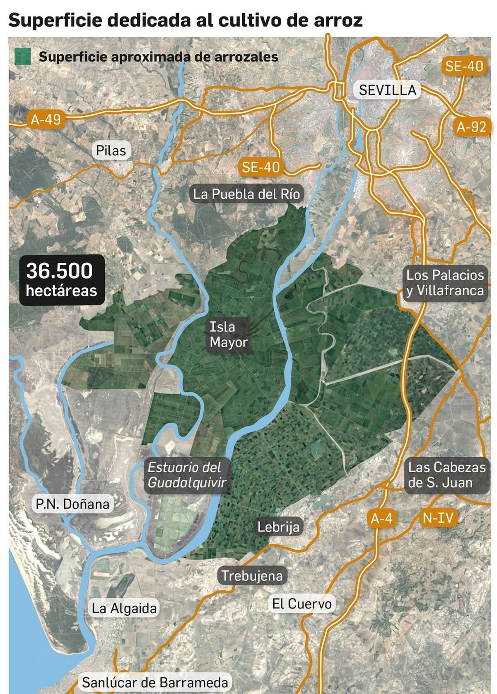 Mapa de la superficie del arrozal en Sevilla