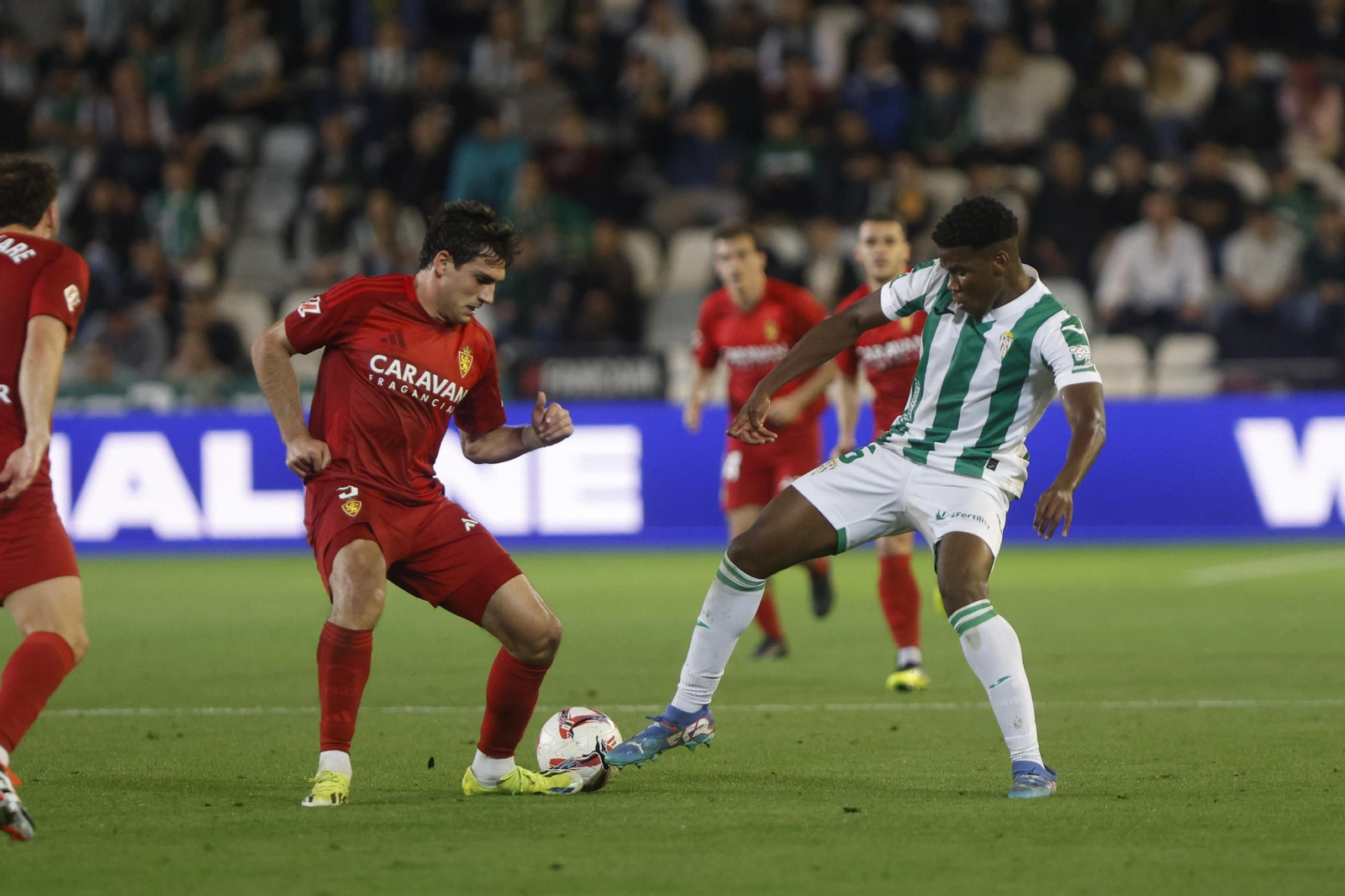 Las mejores fotos del ambiente en el Córdoba CF - Zaragoza en El Arcángel