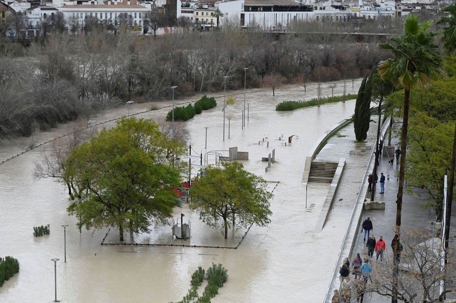 La impresionante crecida del río Guadalquivir: se acerca a los 6 metros a su paso por Córdoba