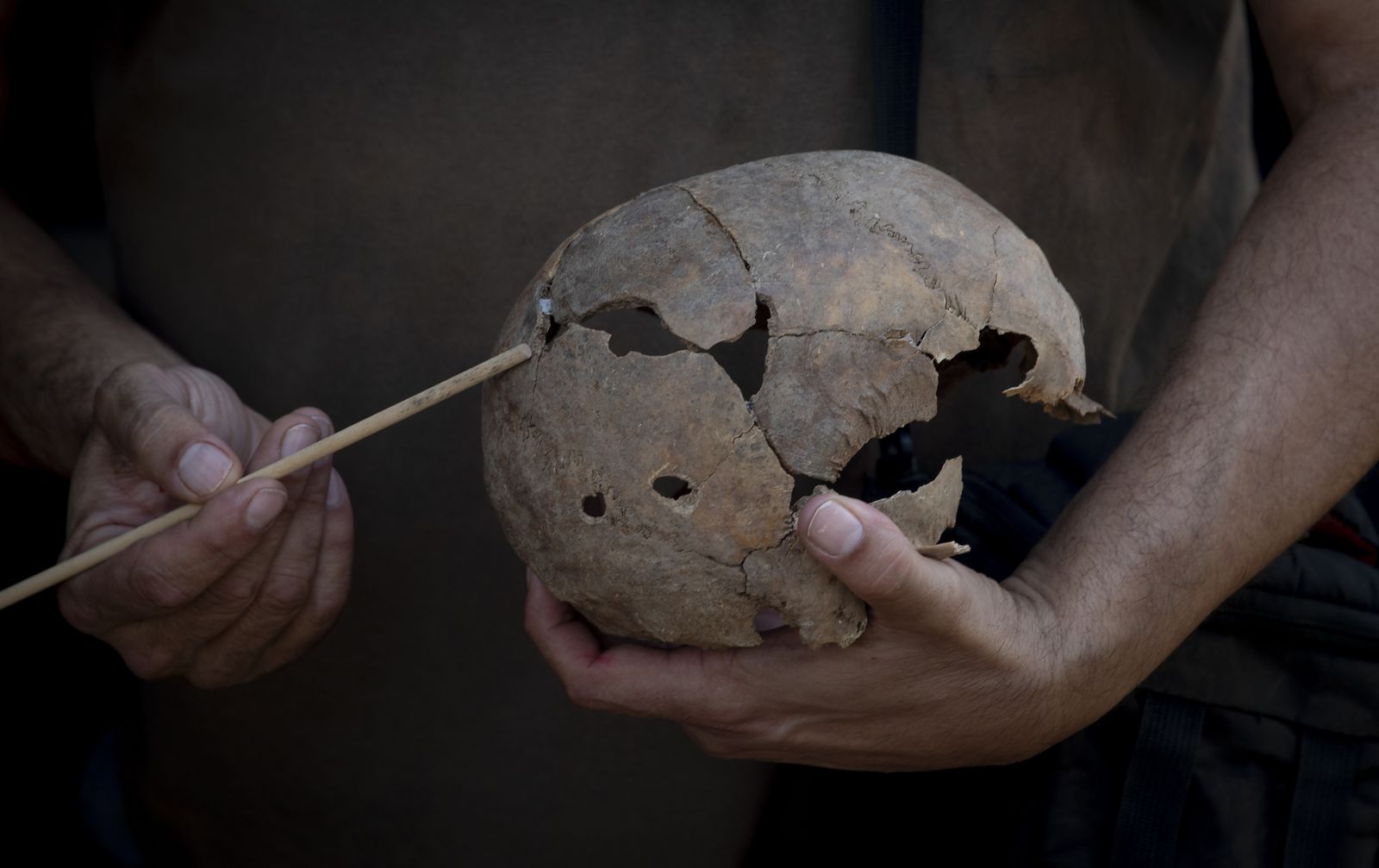 Imágenes de la fosa común de Pico Reja, en el cementerio de San Fernando