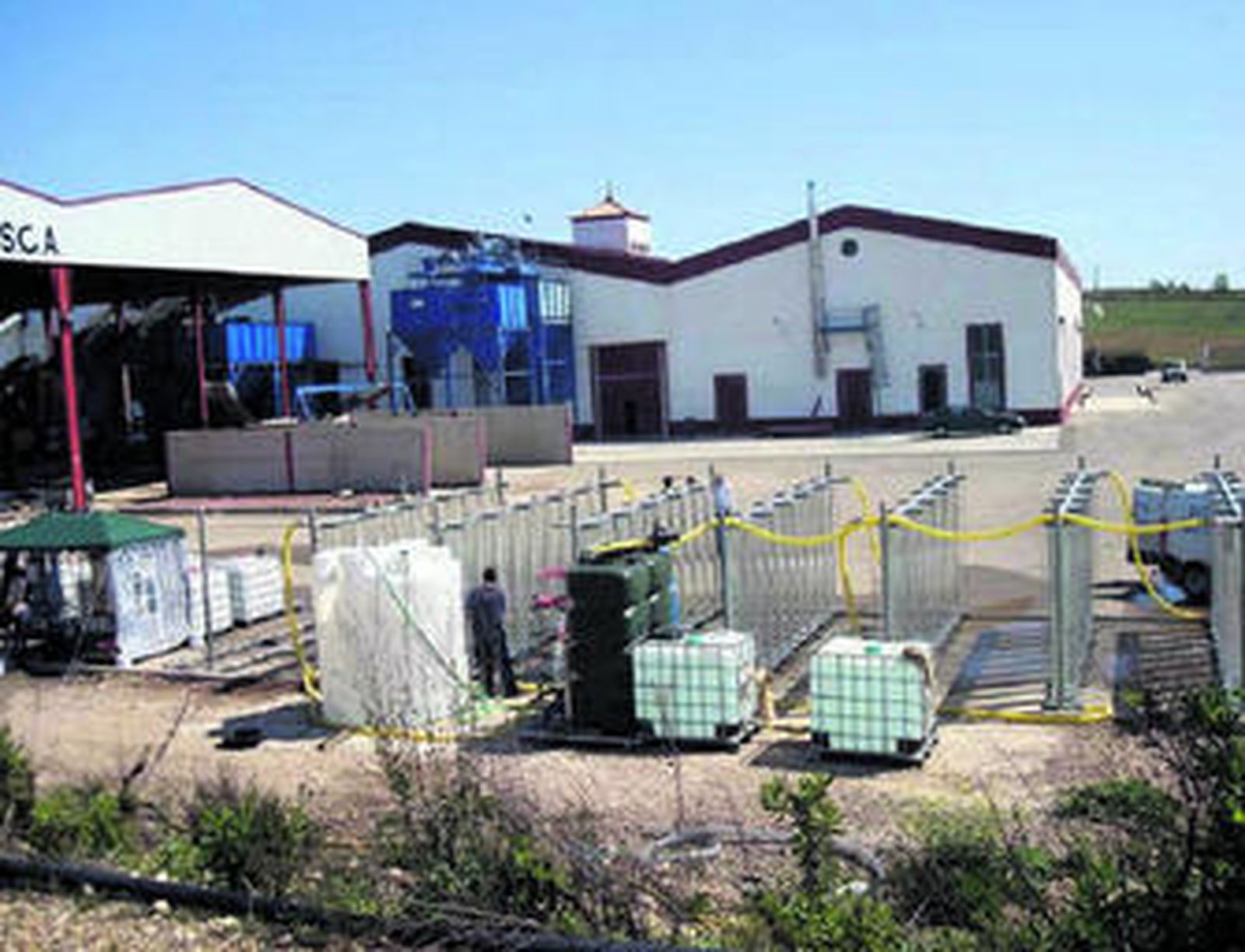 Microalgas para reciclar el agua de las almazaras