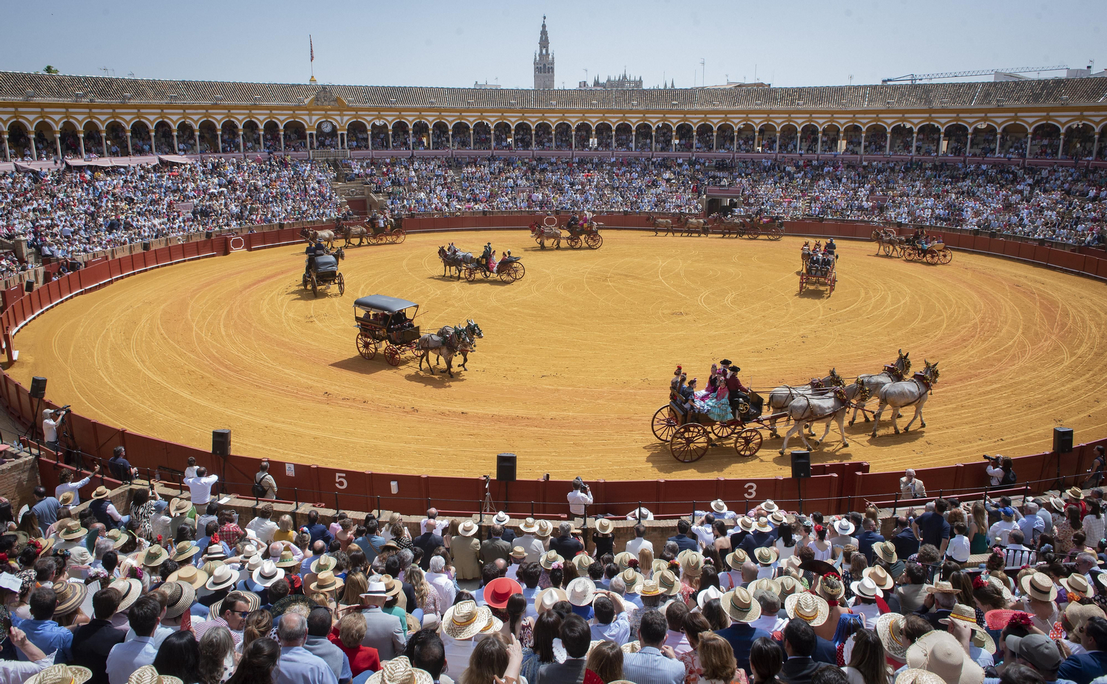 Las imágenes de la Exhibición de Enganches en la Maestranza