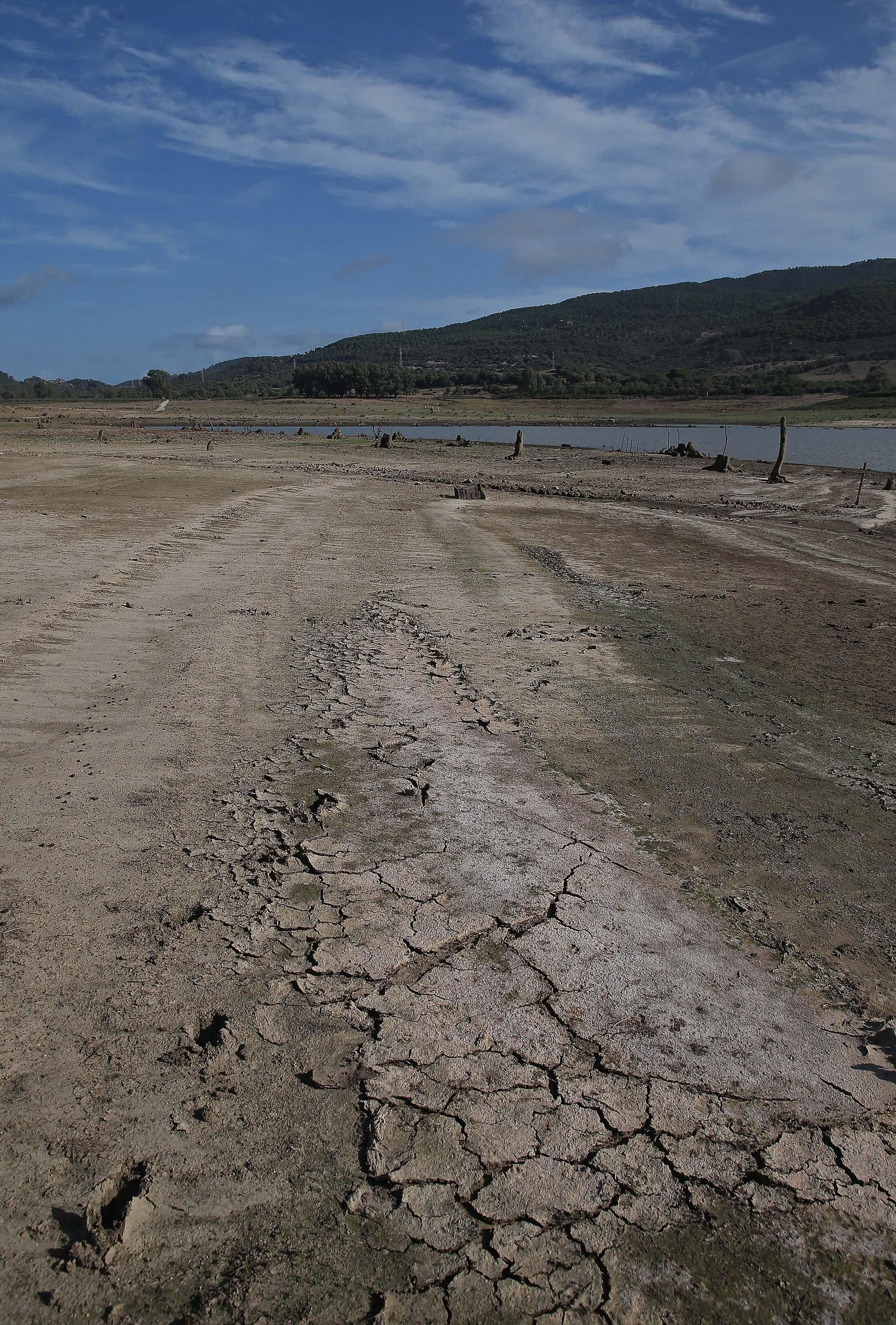 Imágenes del pantano de Charco Redondo en Los Barrios