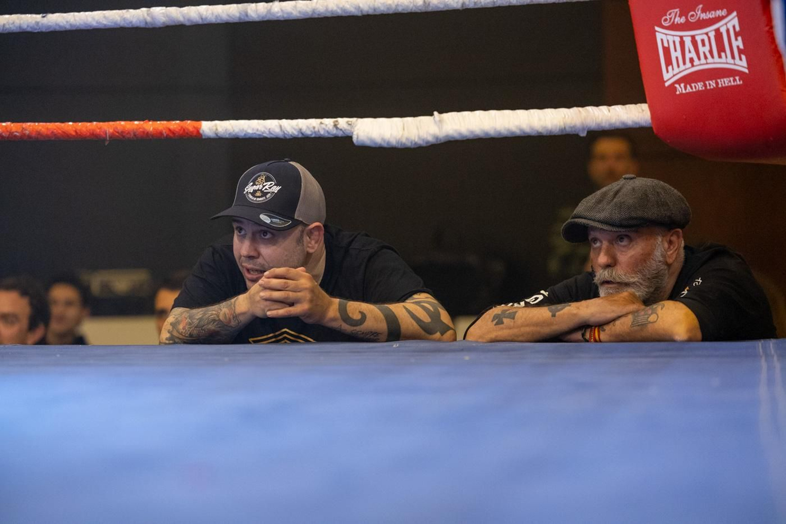 El boxeo solidario de la VI velada White Collar Boxing cautiva al público de Jaén