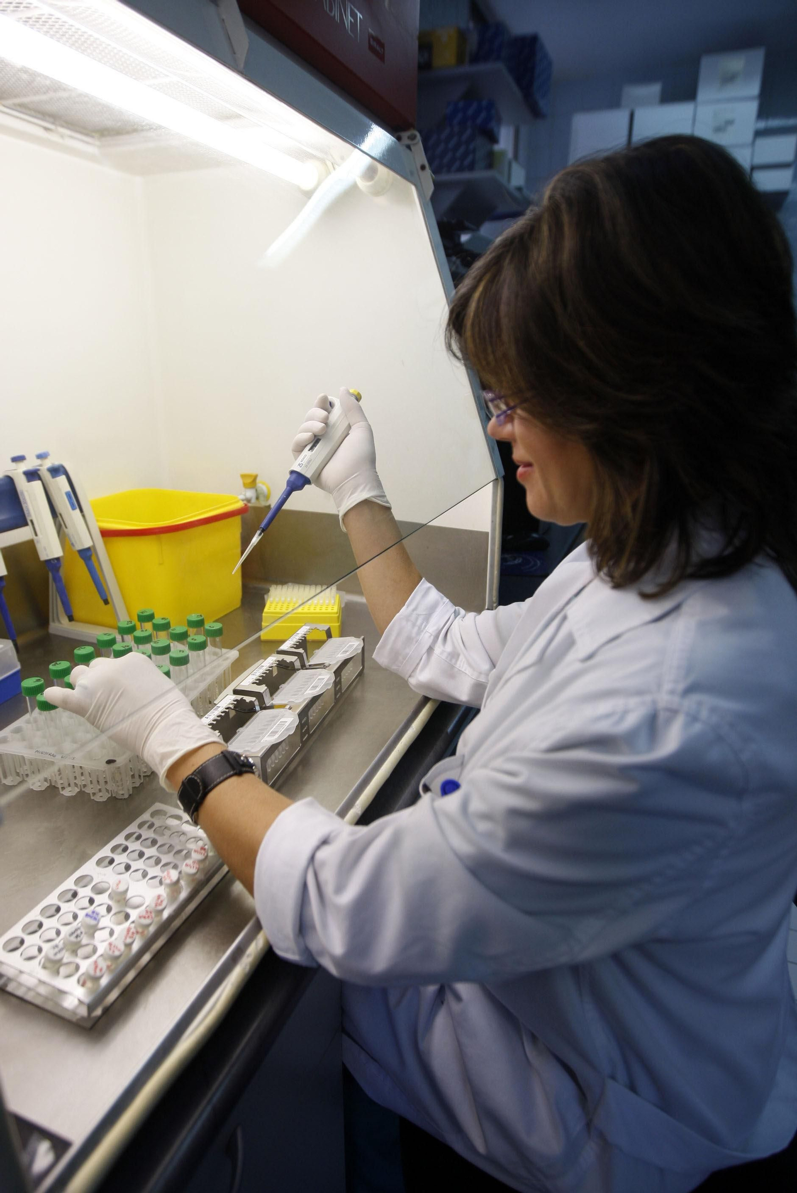 Trabajos en el Laboratorio de Microbiología de un hospital.