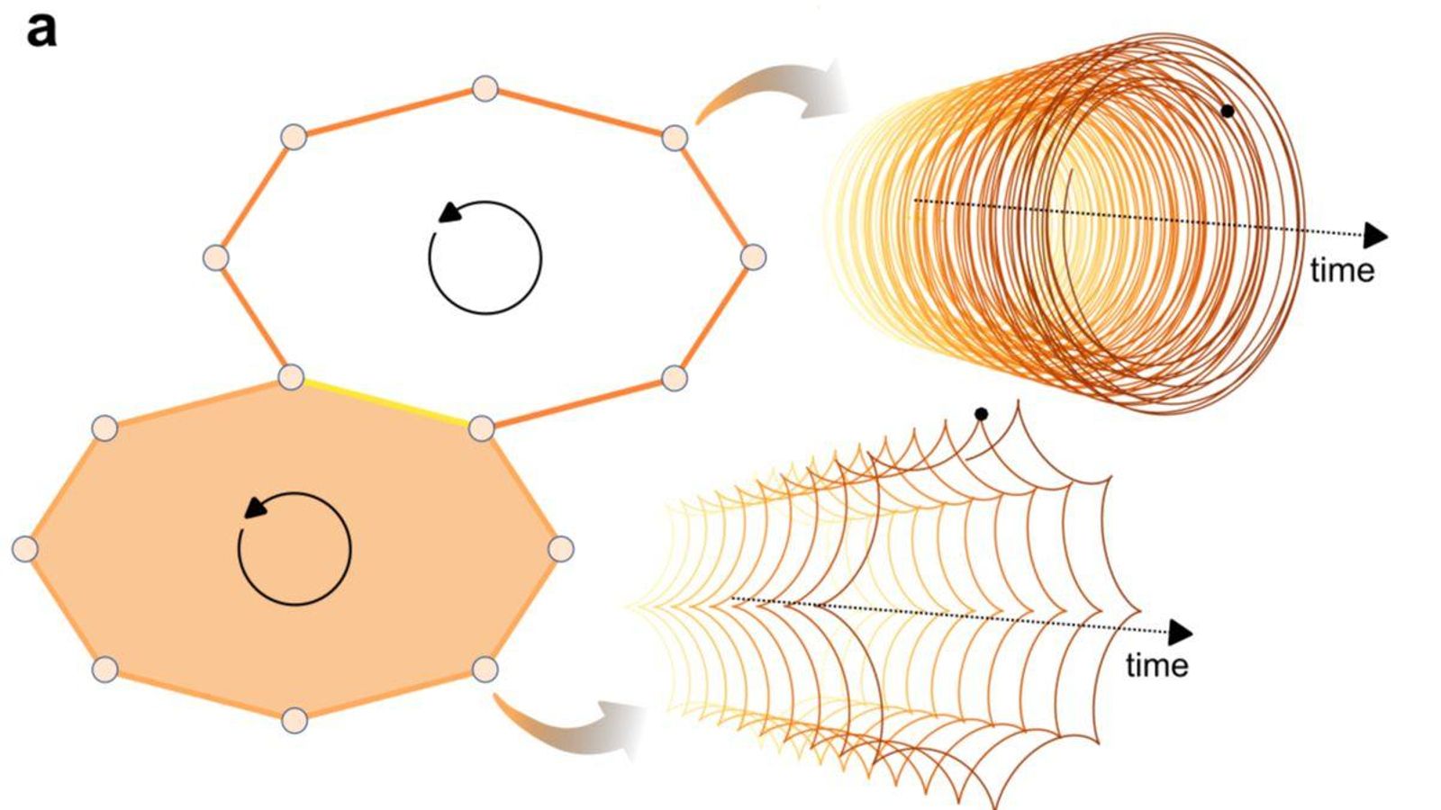 Imagen extraída del estudio