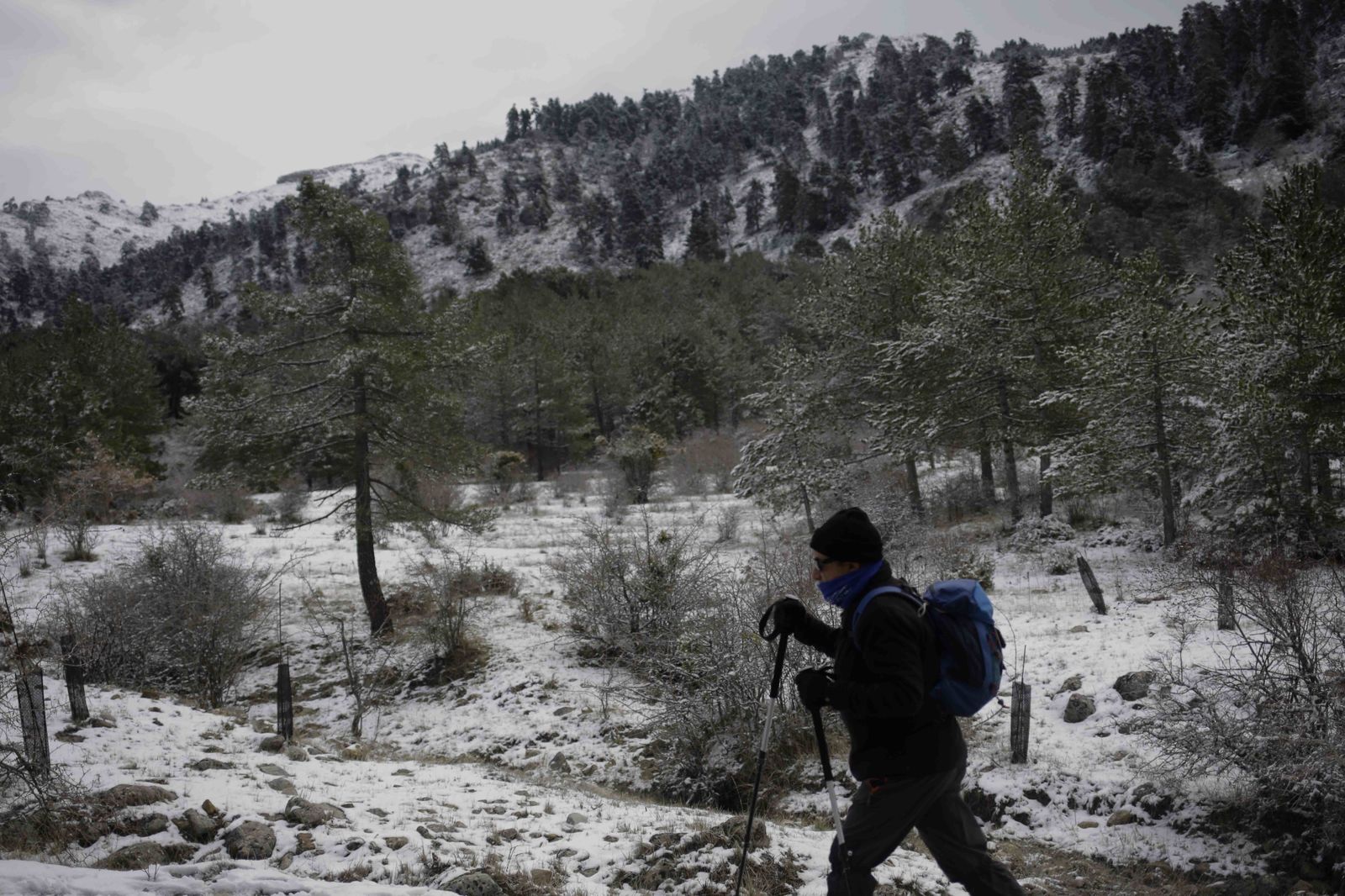 La excursiones a los parajes nevados de Málaga, en imágenes