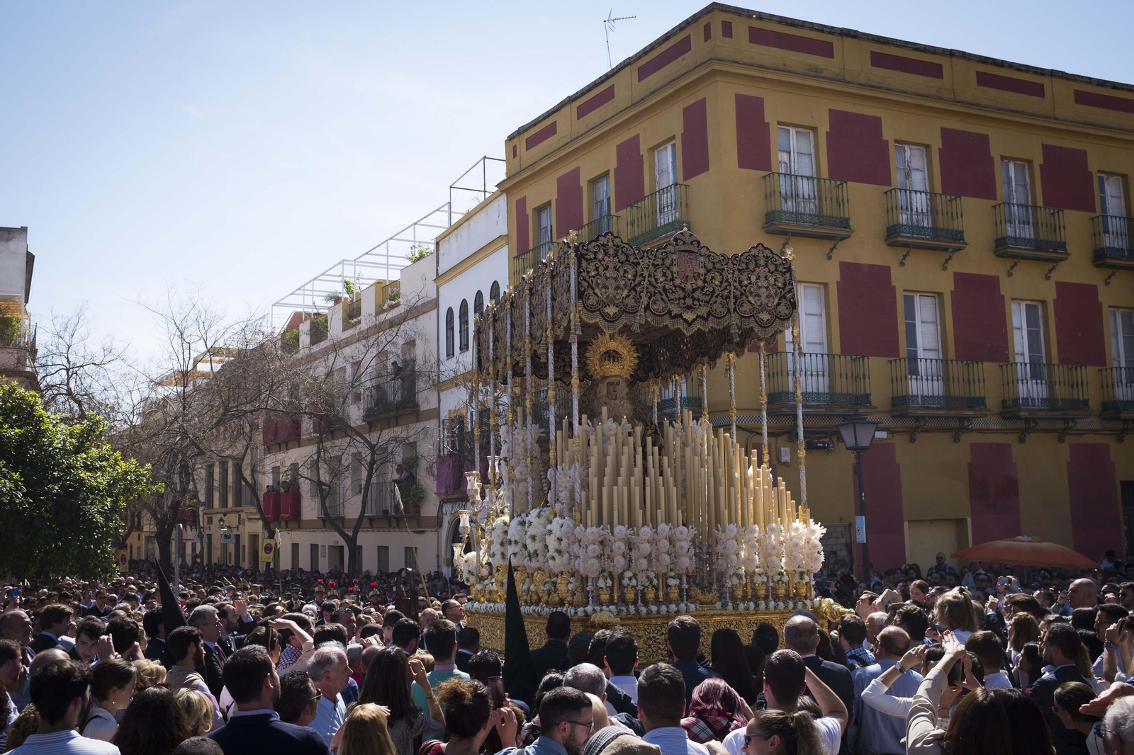 Las imágenes de San Bernardo