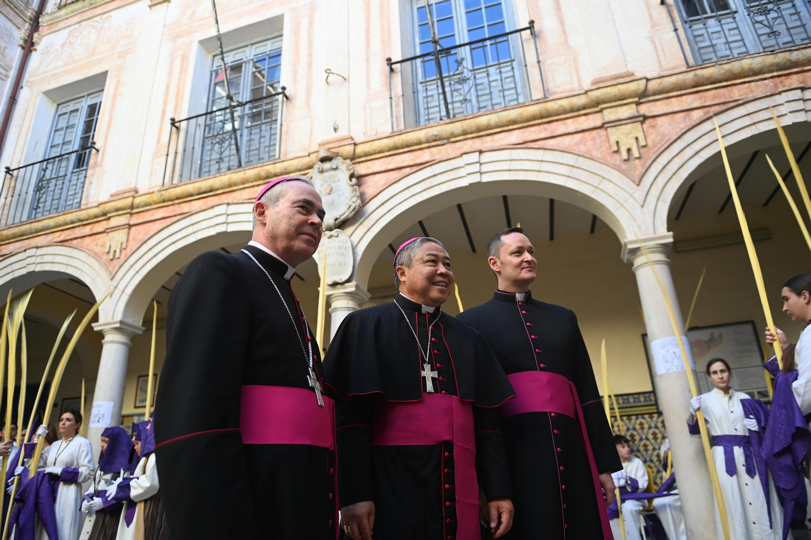 Las fotos de Pollinica en su procesión del Domingo de Ramos en Málaga