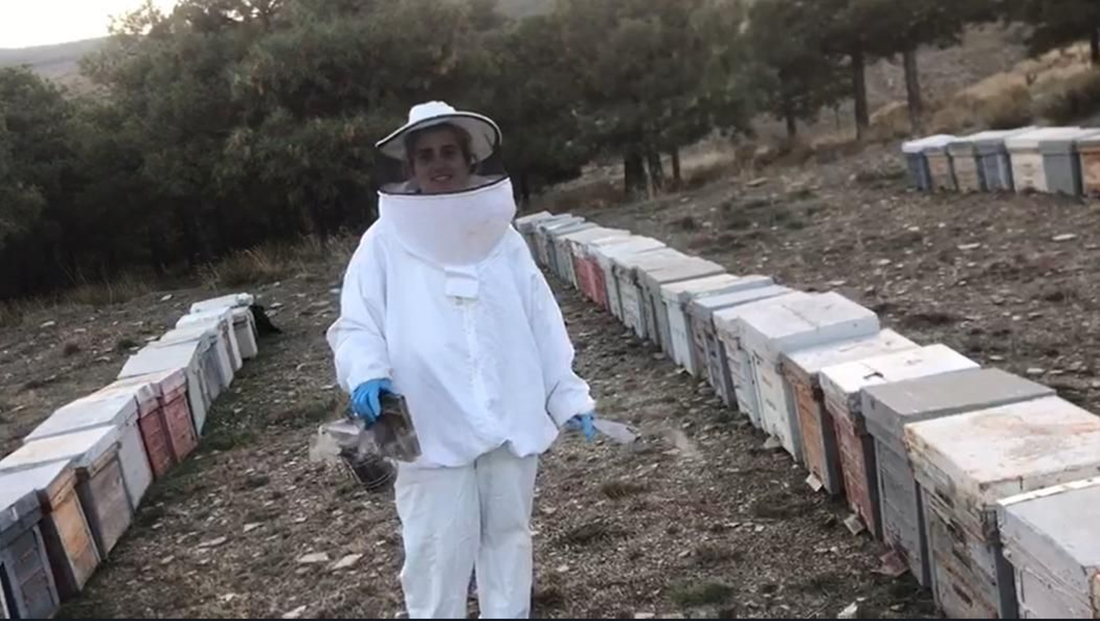 Andrea, hija de José Usero al cuidado de las colmenas.