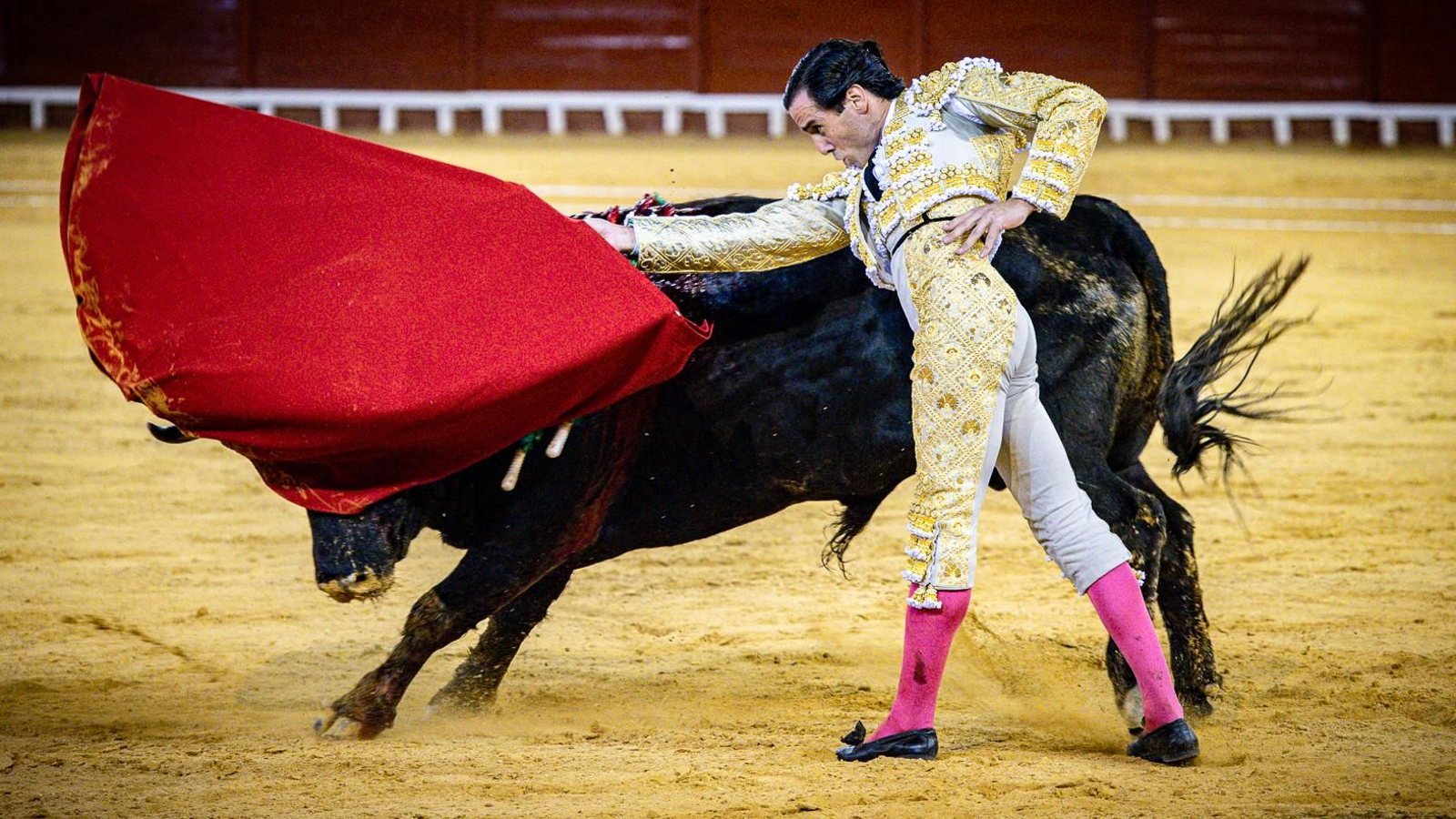 Las imágenes de la corrida de toros en El Puerto: Morante, Talavante y Juan Ortega