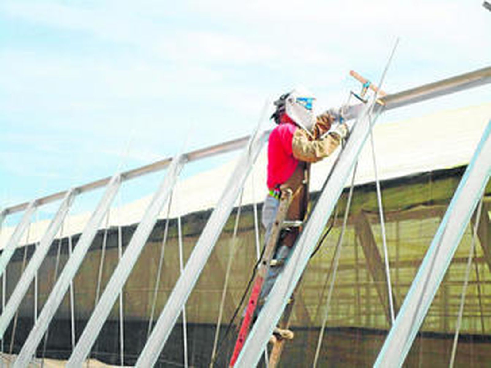 30 años al servicio del agricultor Invernaderos Ferrer