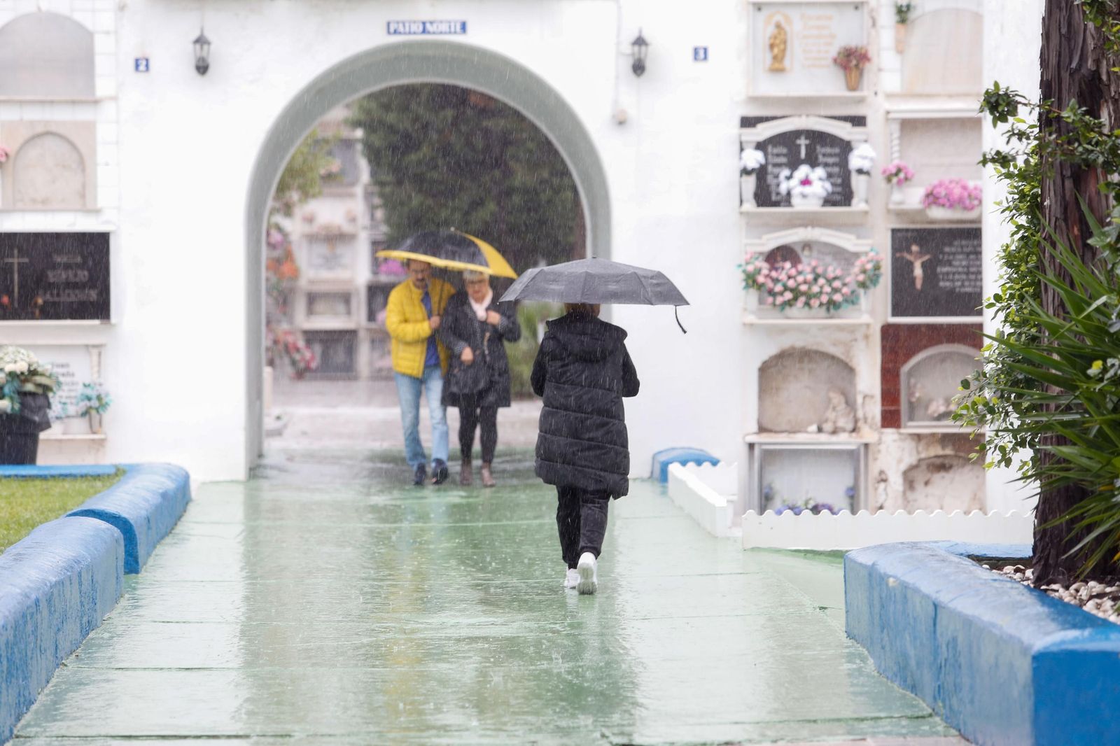 Fotos de los preparativos en el cementerio de La Línea por el Día de Todos los Santos