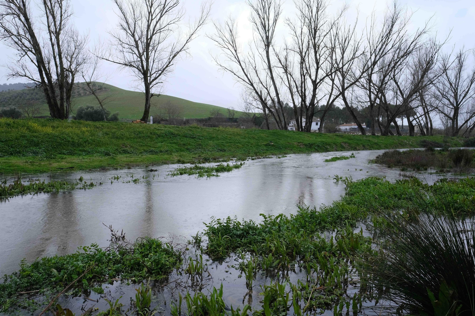 Transformación del paisaje por la lluvia, en fotos