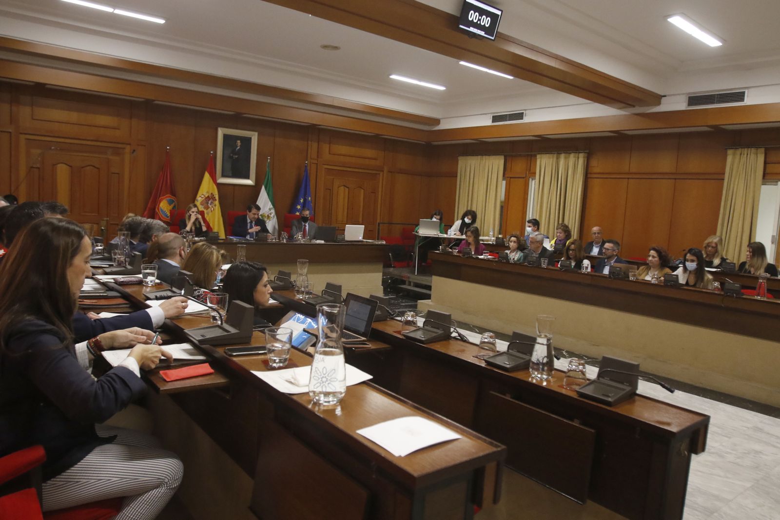 Pleno ordinario en el Ayuntamiento de Córdoba.