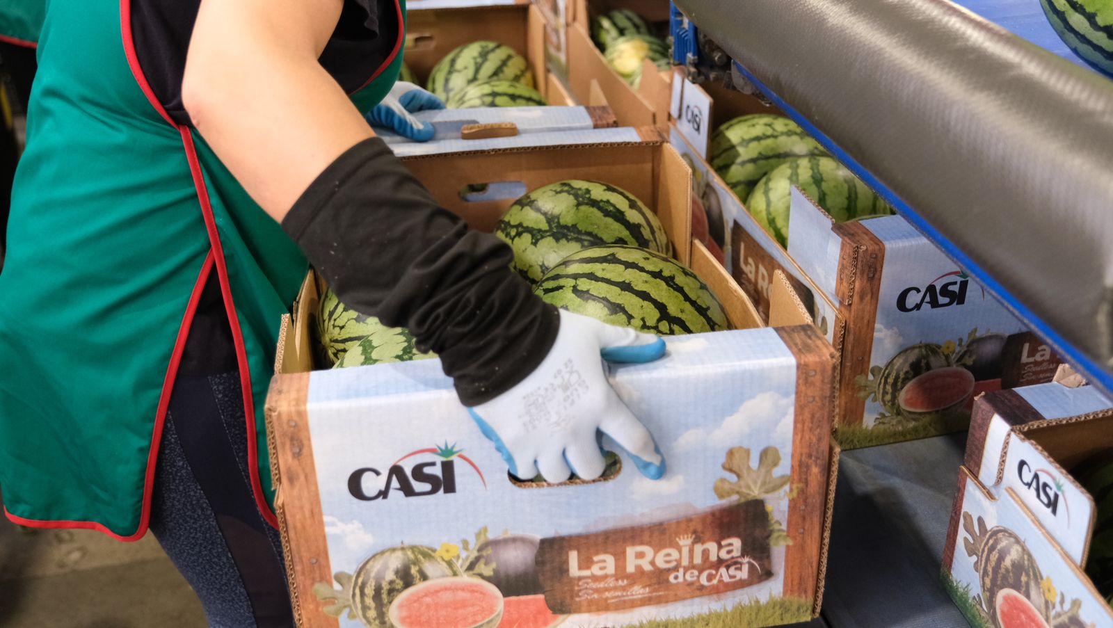 La IA llega a CASI, en imágenes