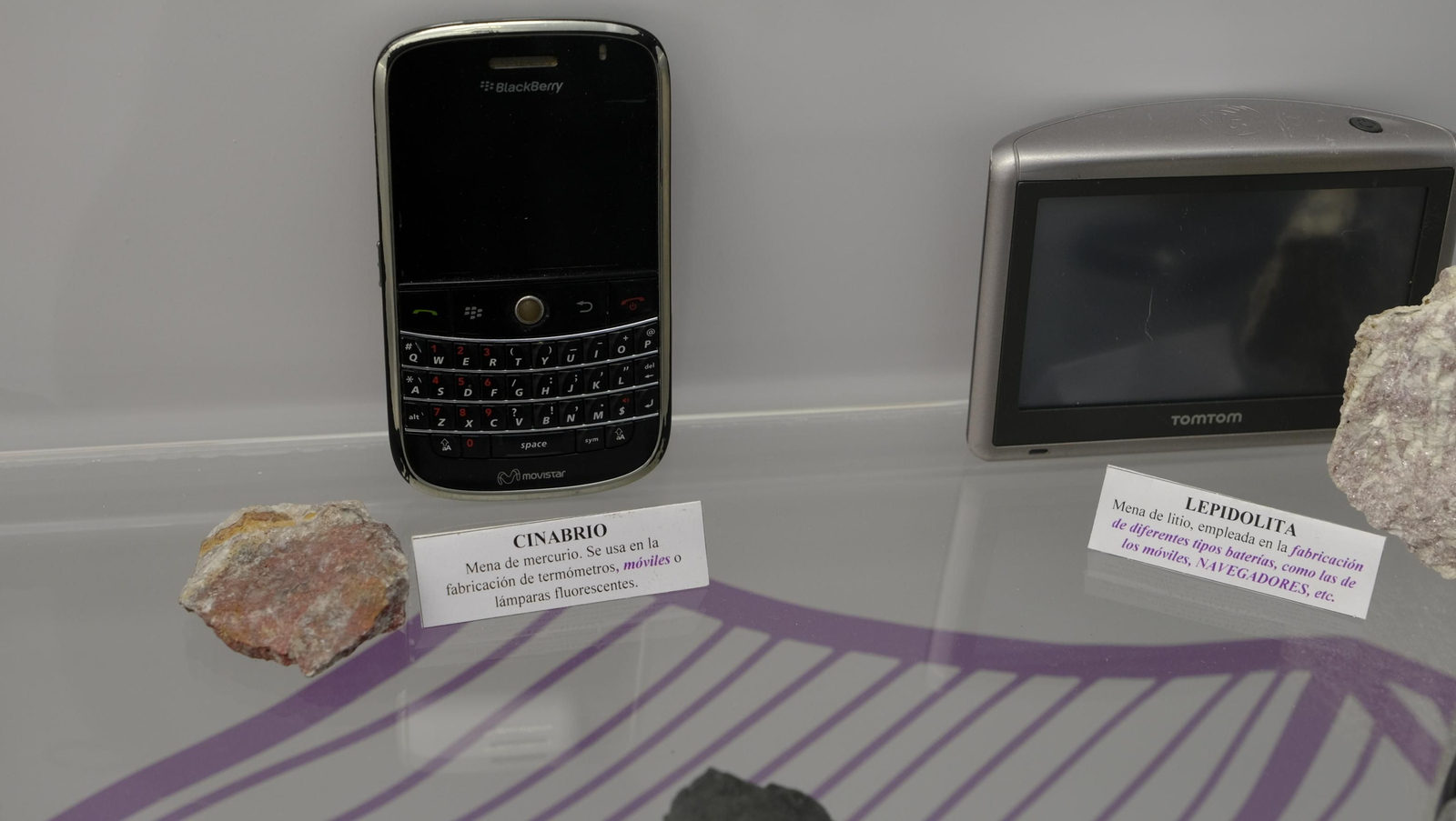 Descubre en estas fotos las maravillas que esconde el Pabellón de Historia Natural de la UAL