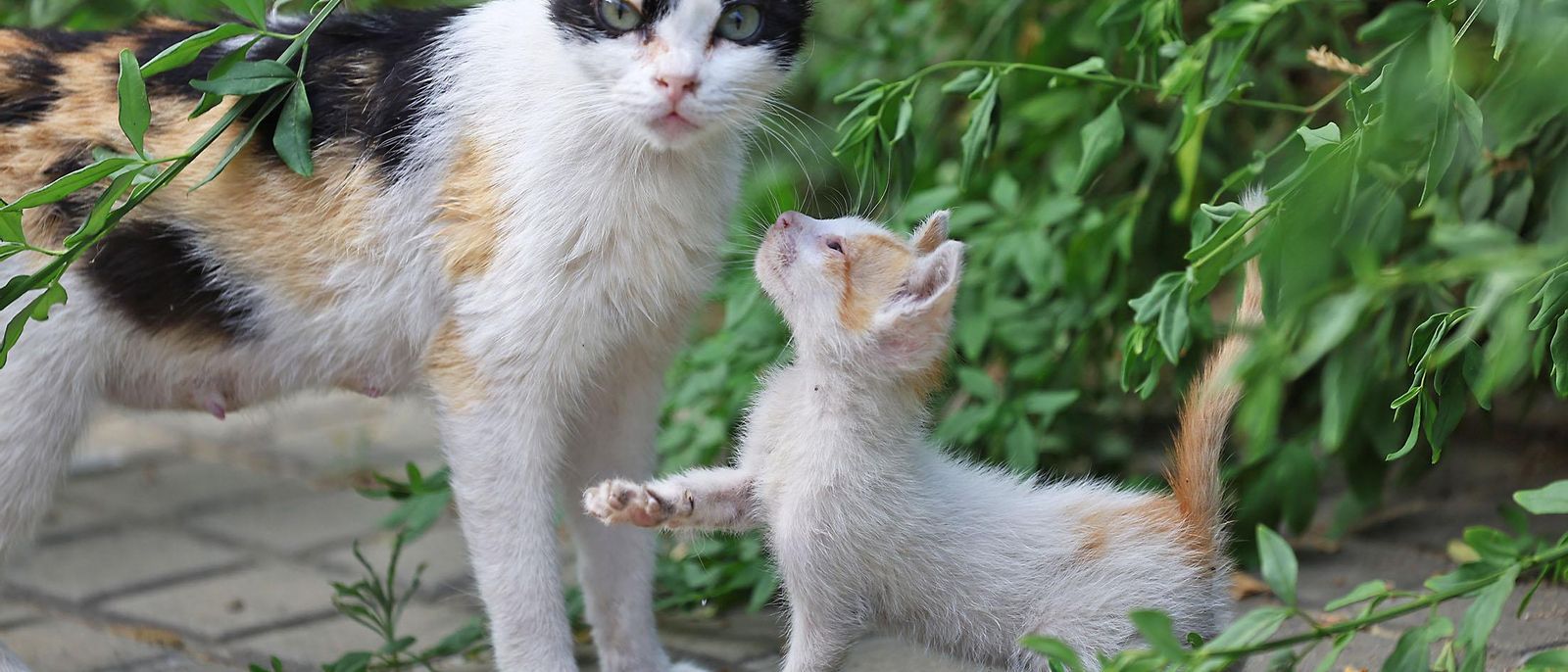 Imágenes del jueves 19 de junio