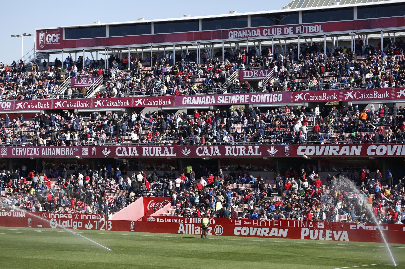 La afición del Granada CF respondió el pasado domingo en Los Cármenes