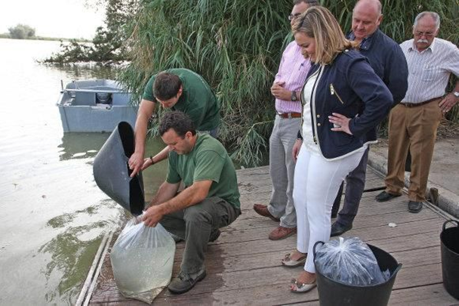 El primer viaje de la anguila