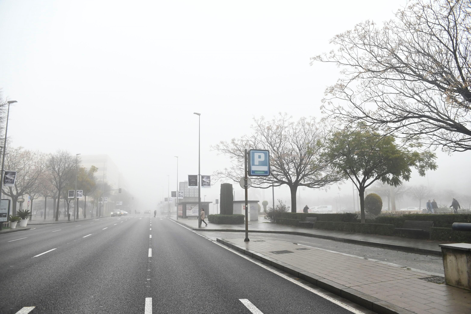 La niebla llega a Córdoba, en imágenes